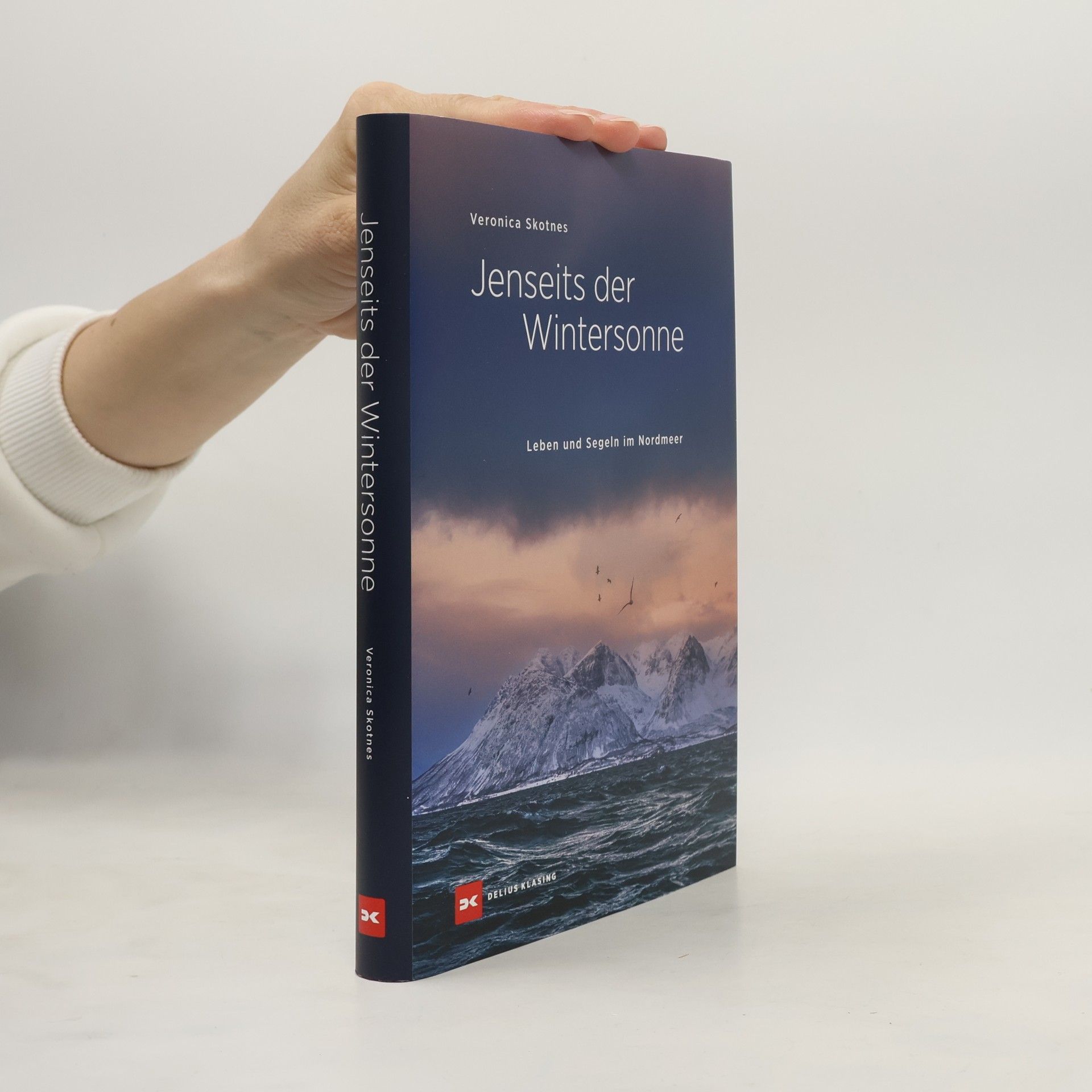 Veronica Skotnes Jenseits der Wintersonne