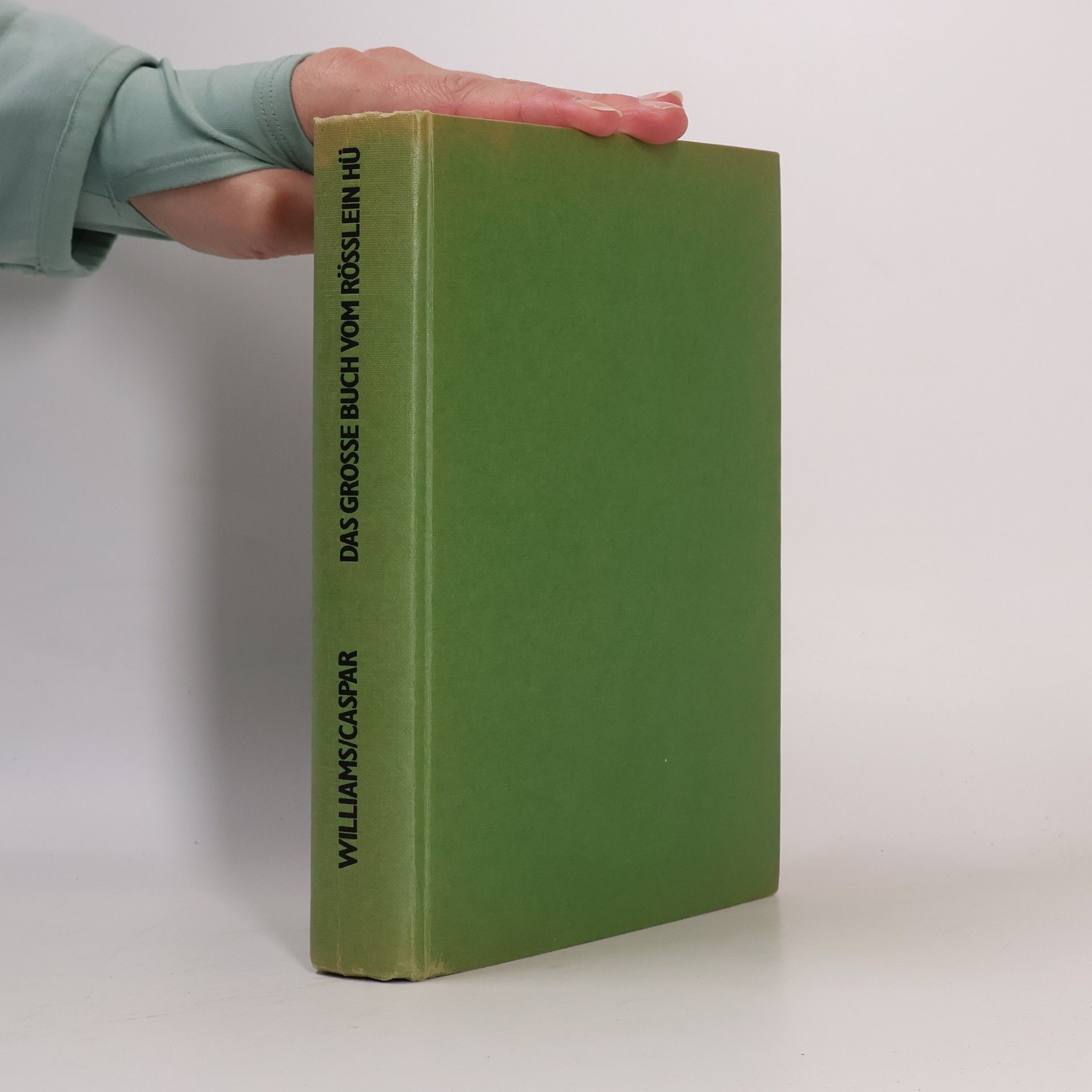 Das grosse Buch vom Rösslein Hü