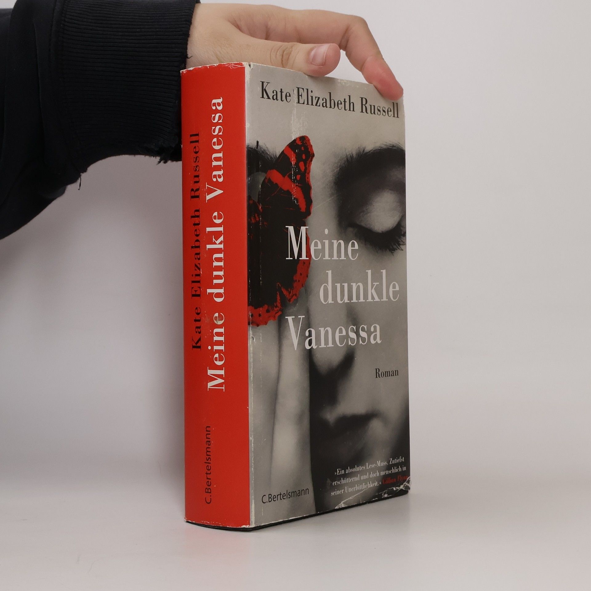 Kate Elizabeth Russell Meine dunkle Vanessa