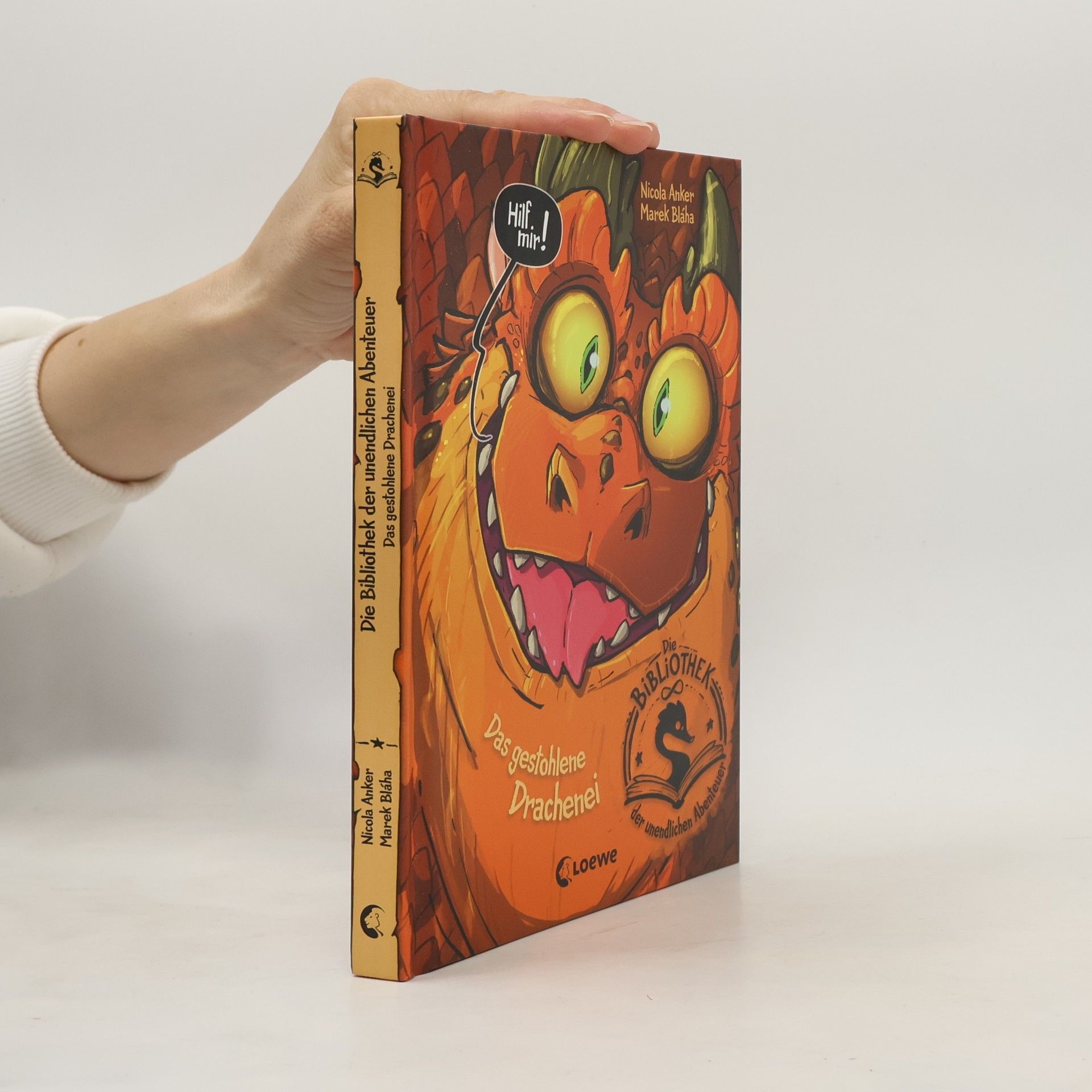 Nicola Anker Die Bibliothek der unendlichen Abenteuer - 1: Das gestohlene Drachenei