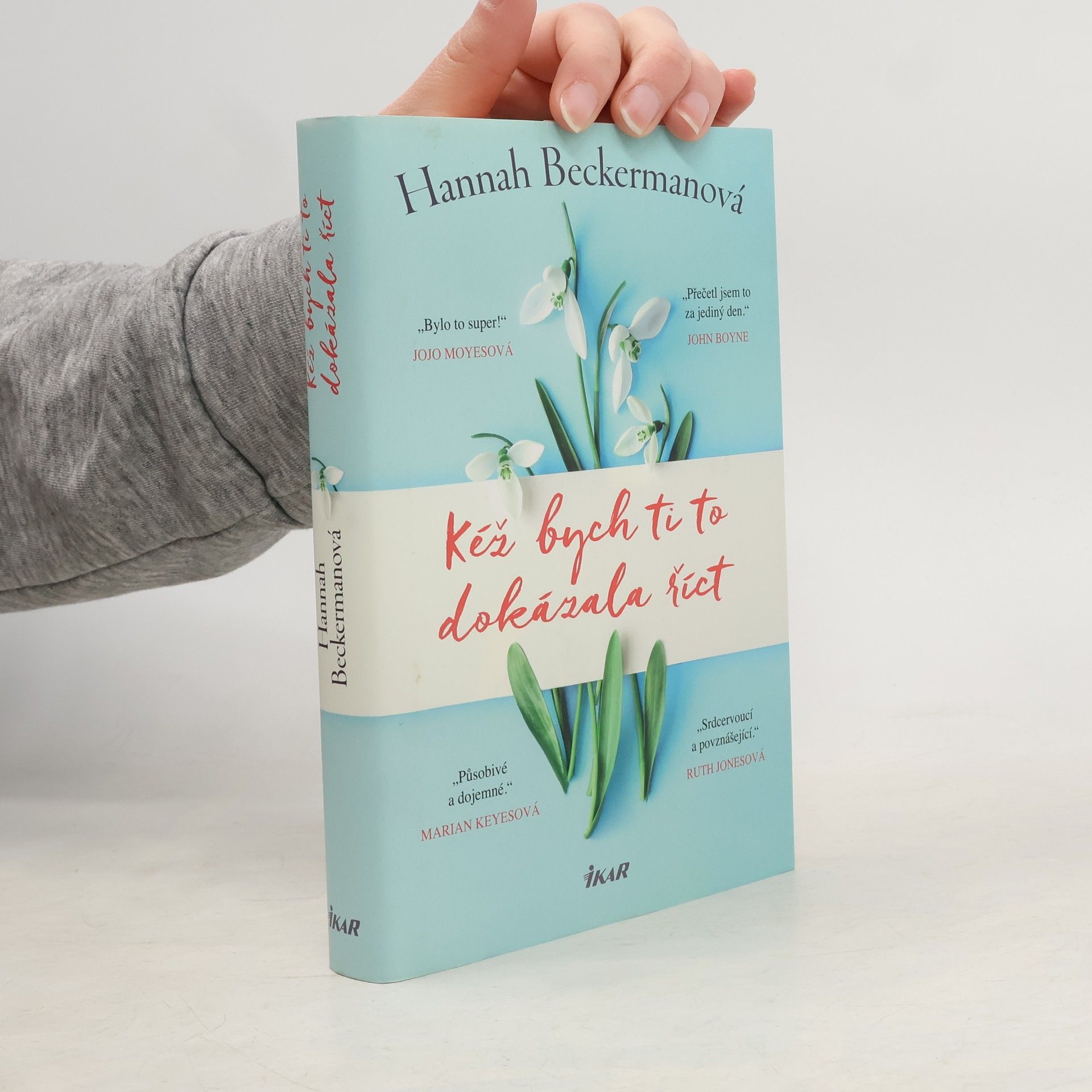 Hannah Beckerman Kéž bych ti to dokázala říct