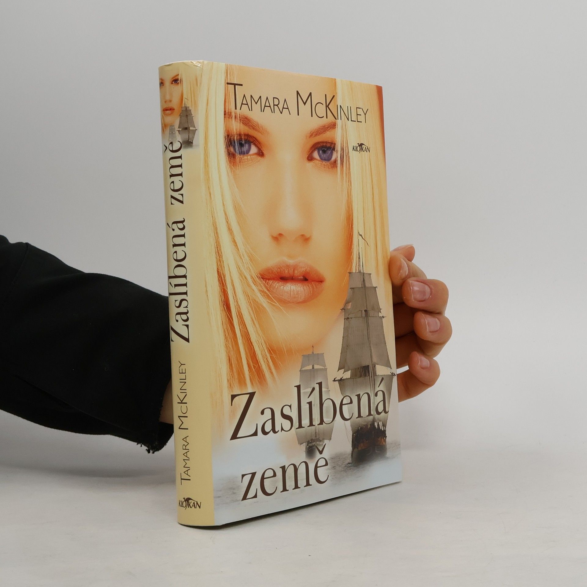 Tamara McKinley Zaslíbená země