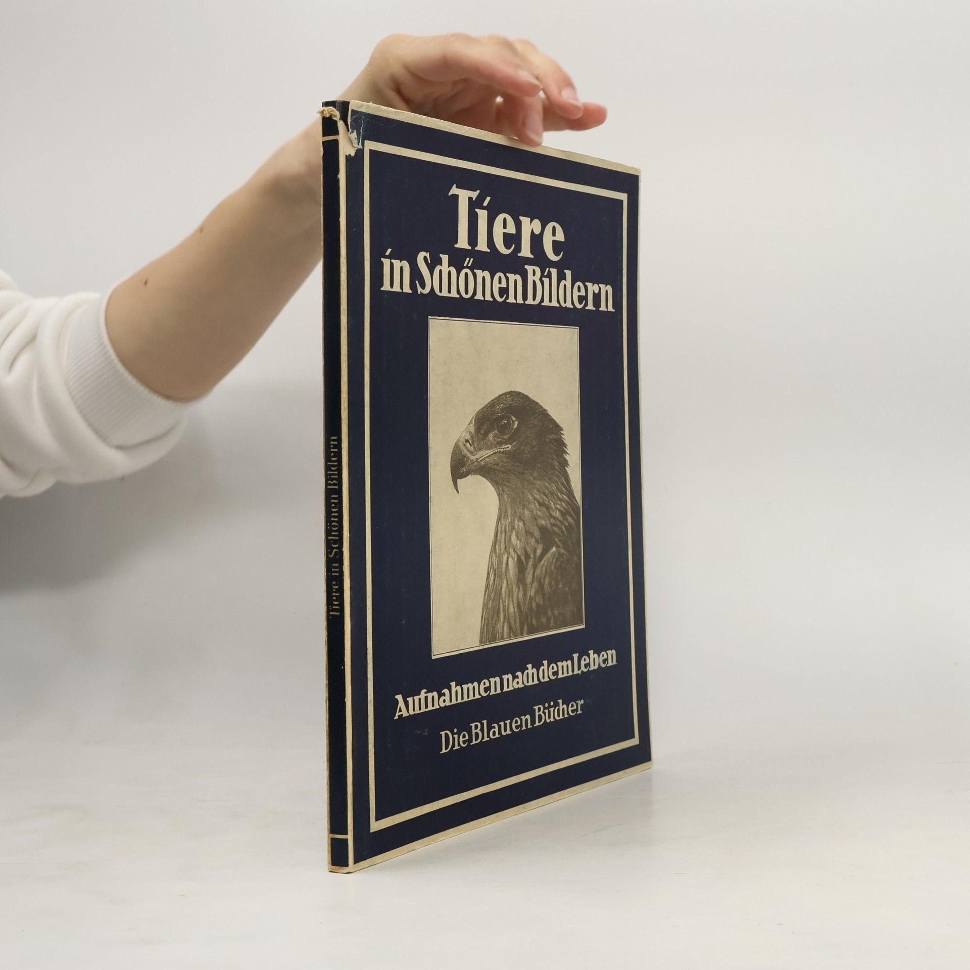 Autorenkollektiv Tiere in Schönen Bildern. Aufnahmen nach dem Leben