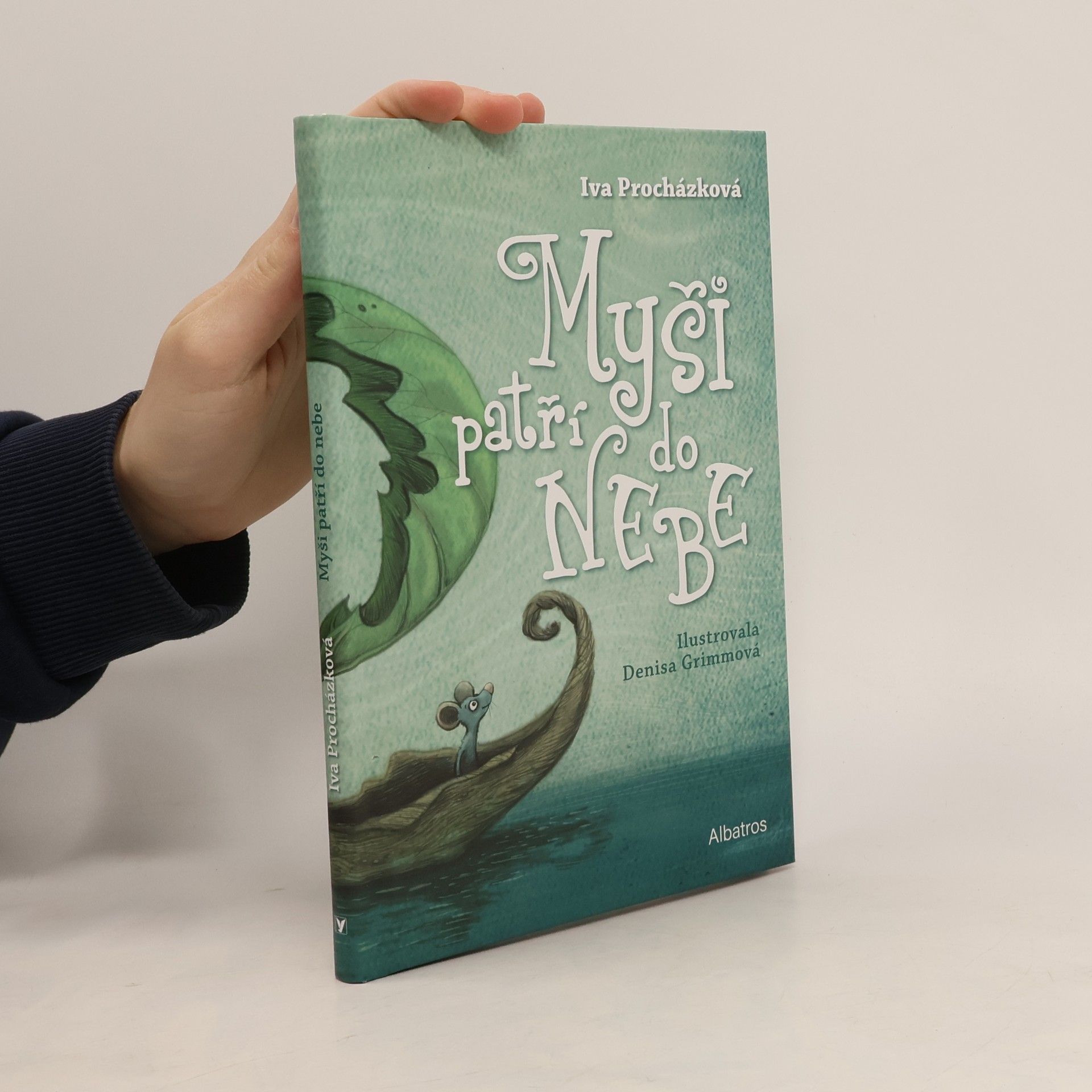 Iva Prochàzkovà Myši patří do nebe