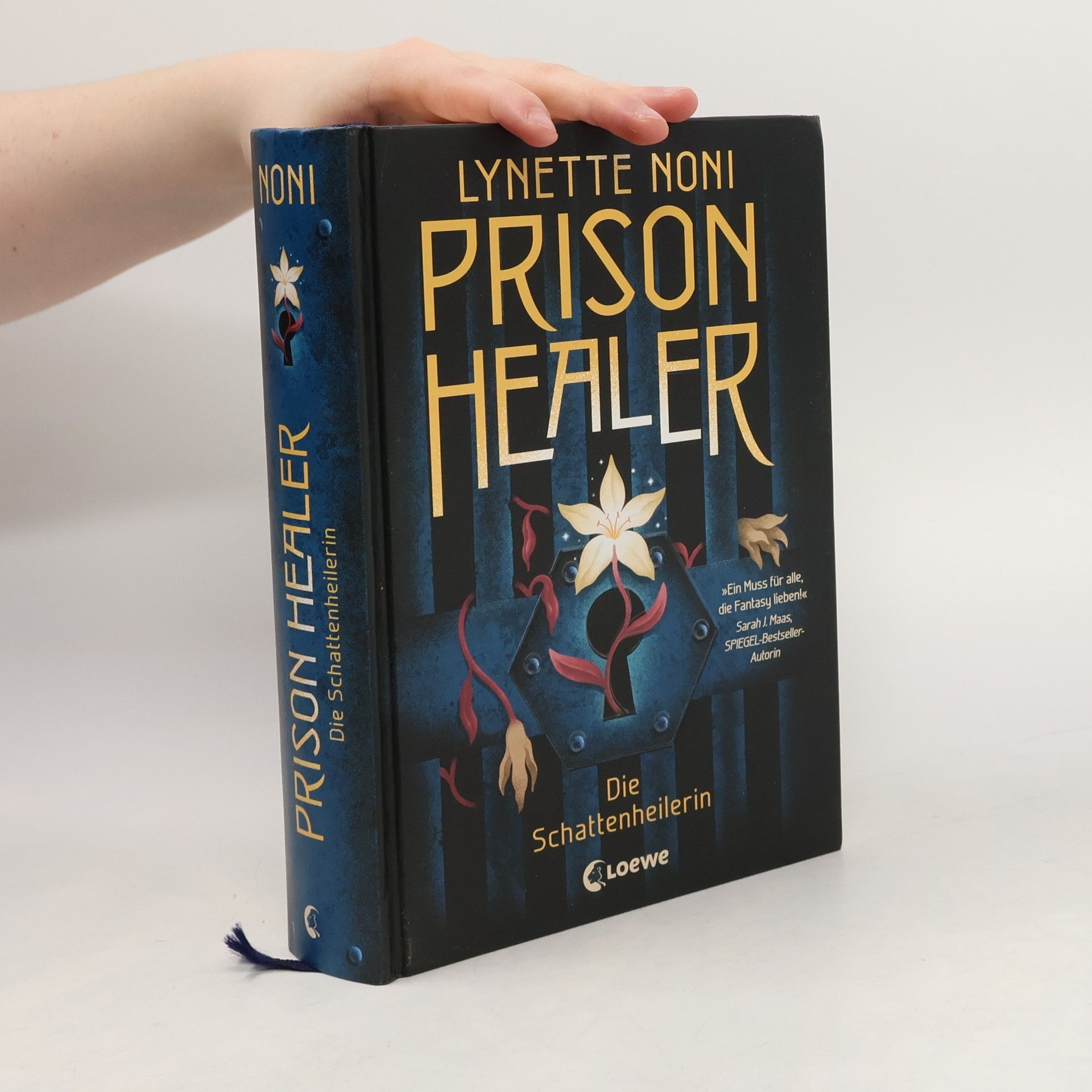 Lynette Noni Prison Healer. Die Schattenheilerin