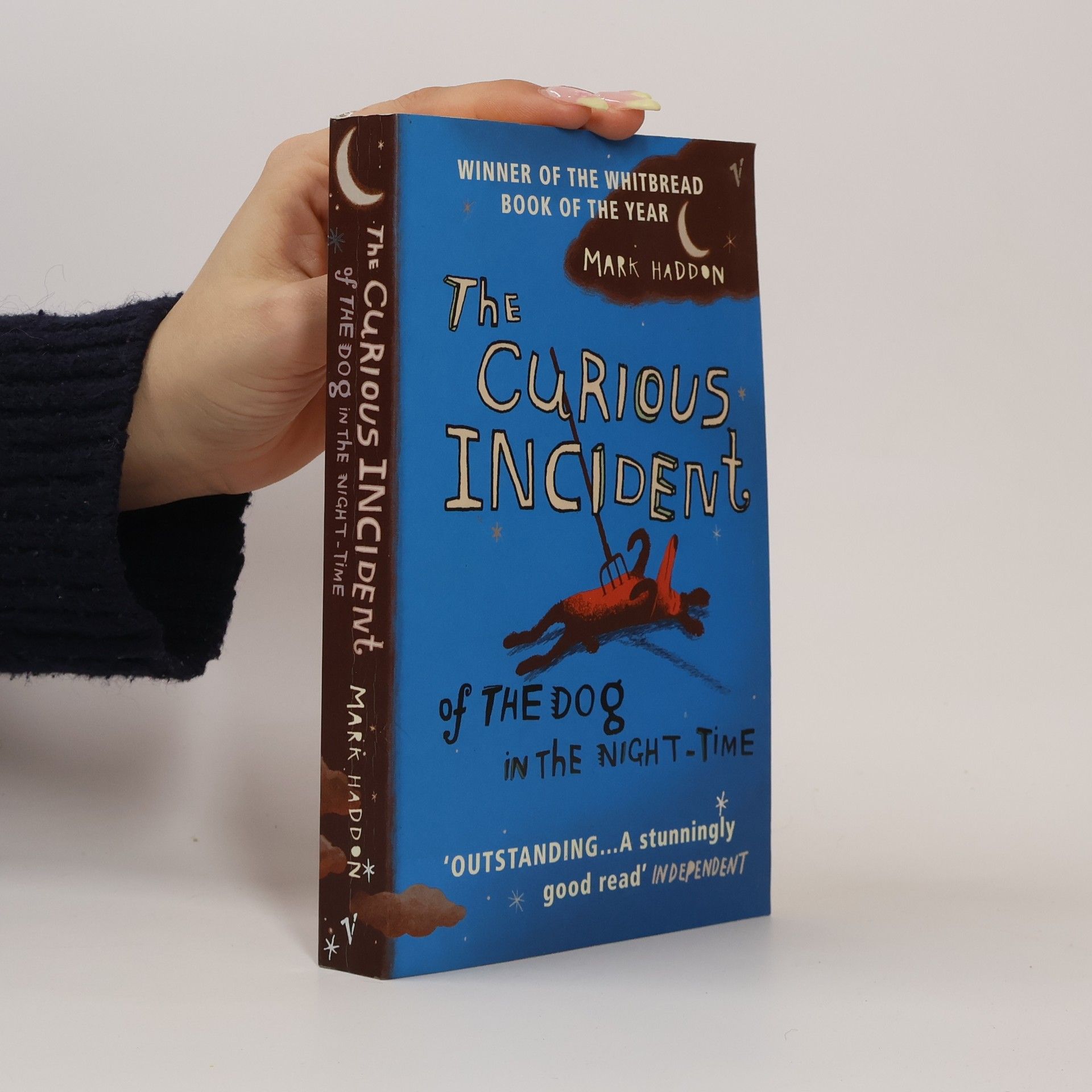 Mark Haddon The Curious Incident of the Dog in the Night-Time