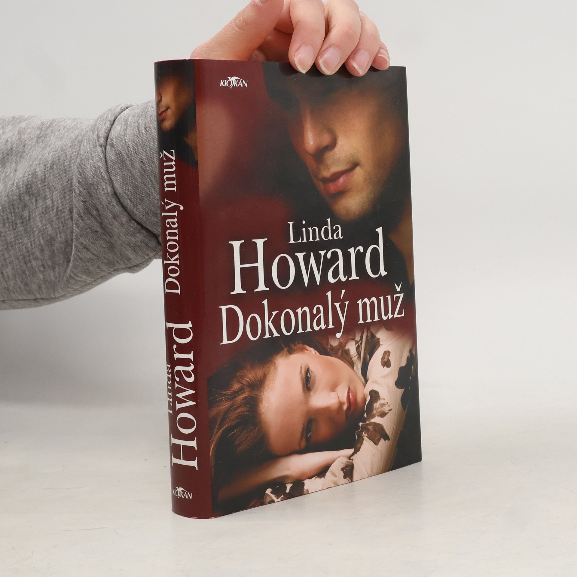 Linda Howard Dokonalý muž