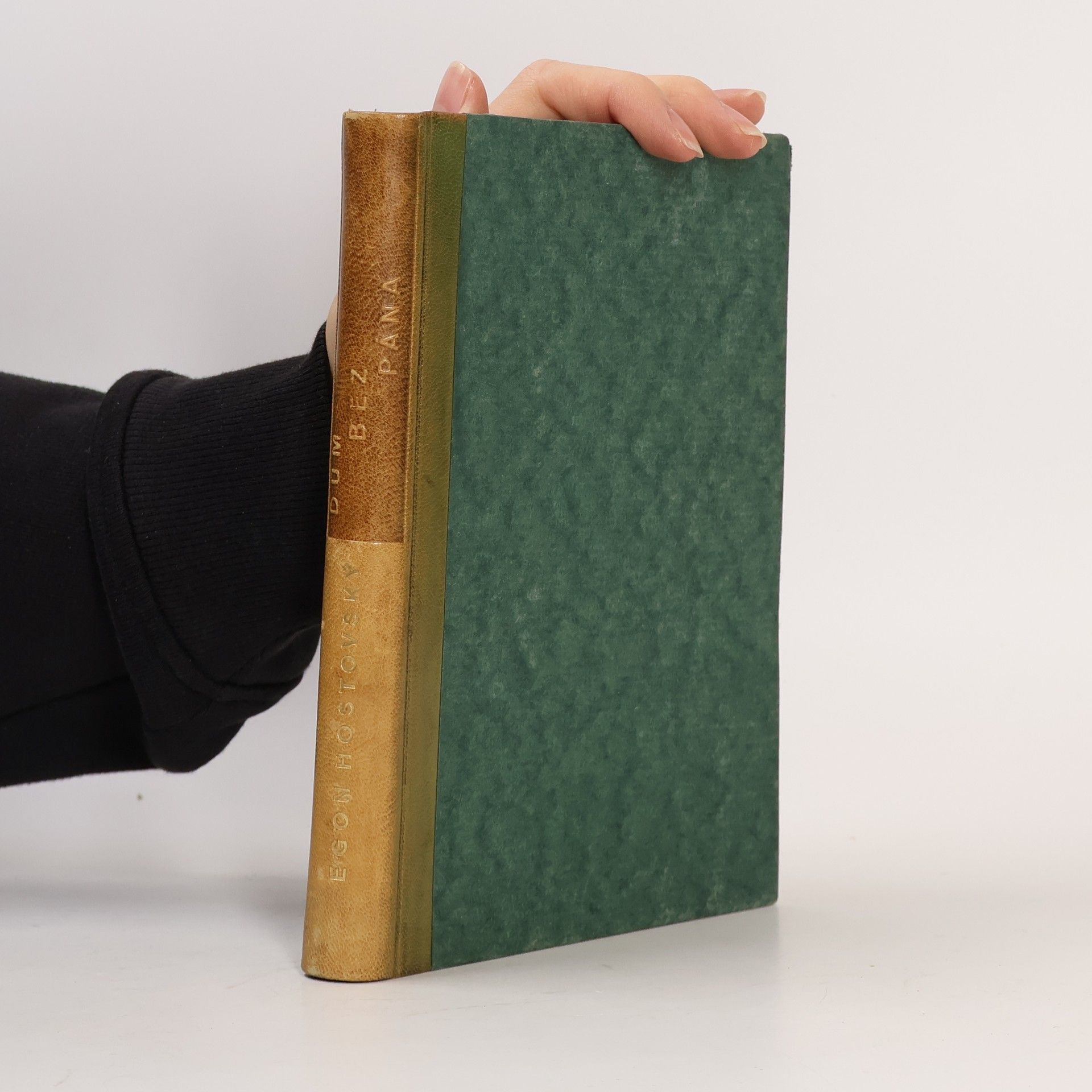 Egon Hostovský Dům bez pána