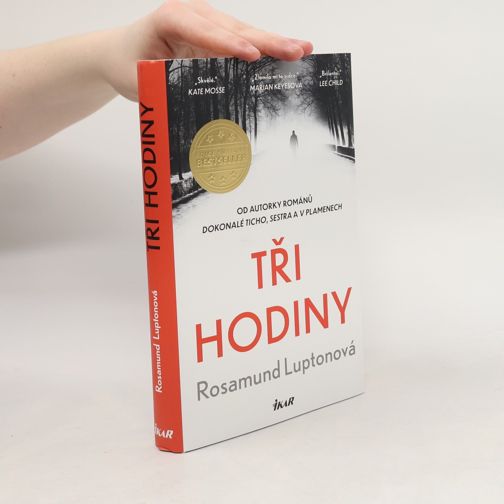 Rosamund Lupton Tři hodiny