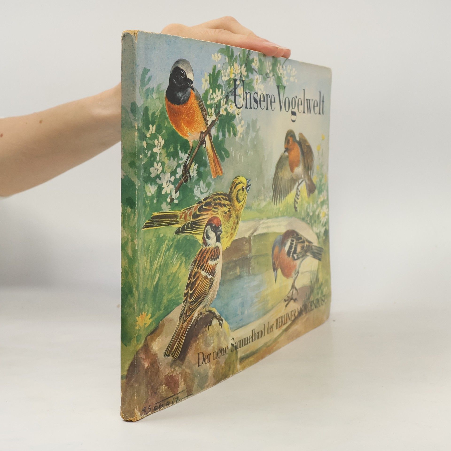 Autorenkollektiv Unser Vogelwelt