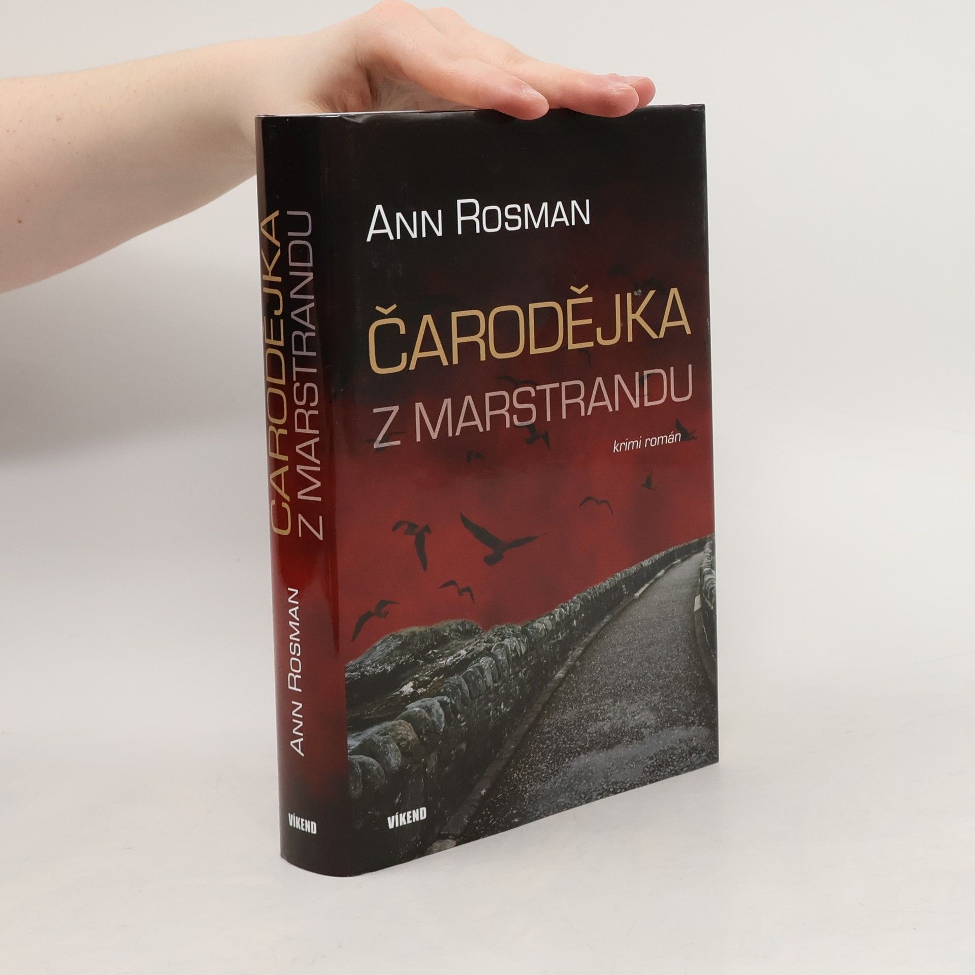 Ann Rosman Čarodějka z Marstrandu