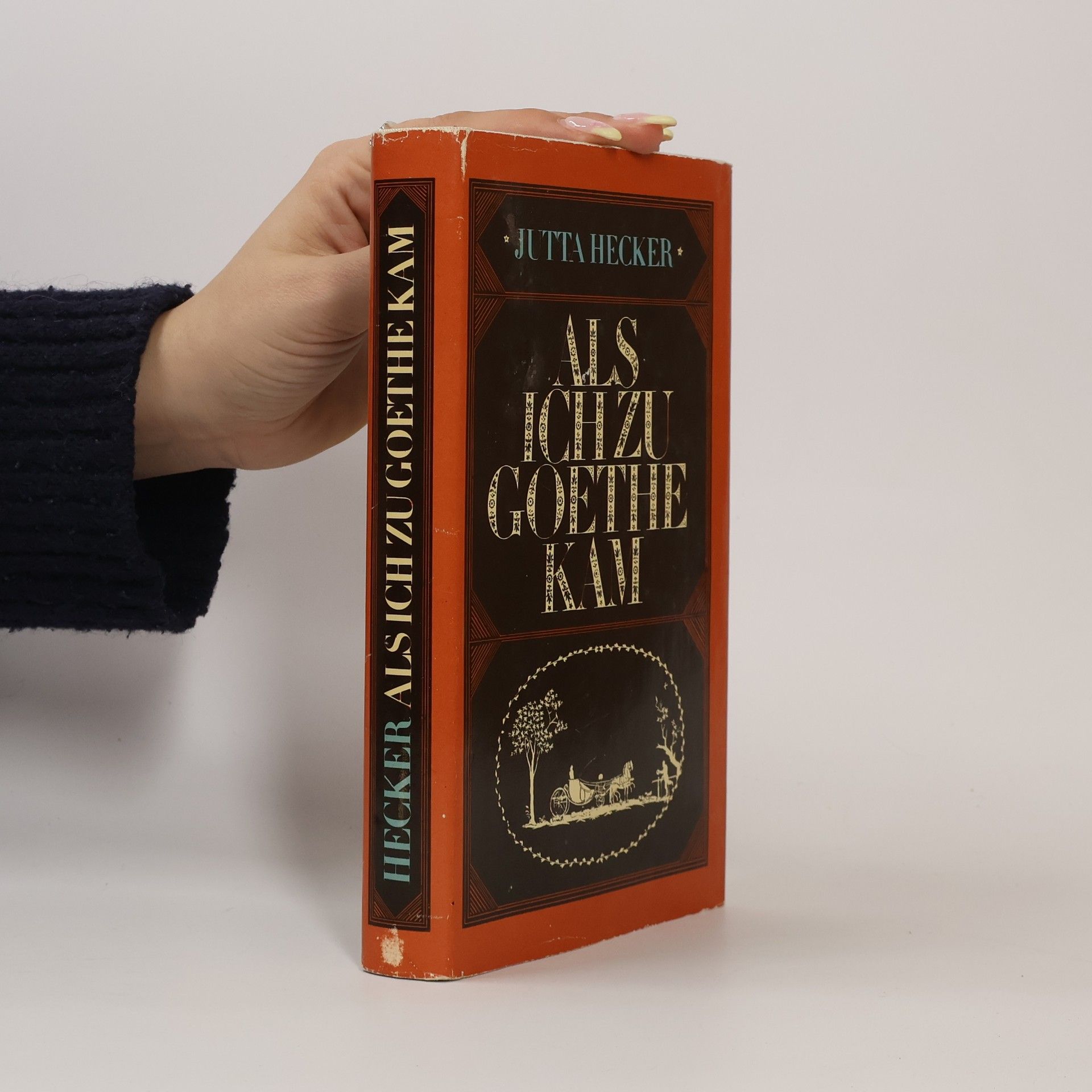 Als Ich zu Goethe Kam