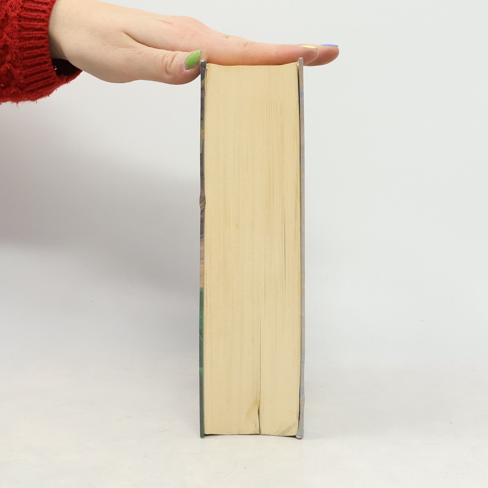 Joanne K. Rowlingová Harry Potter und die Heiligtümer des Todes