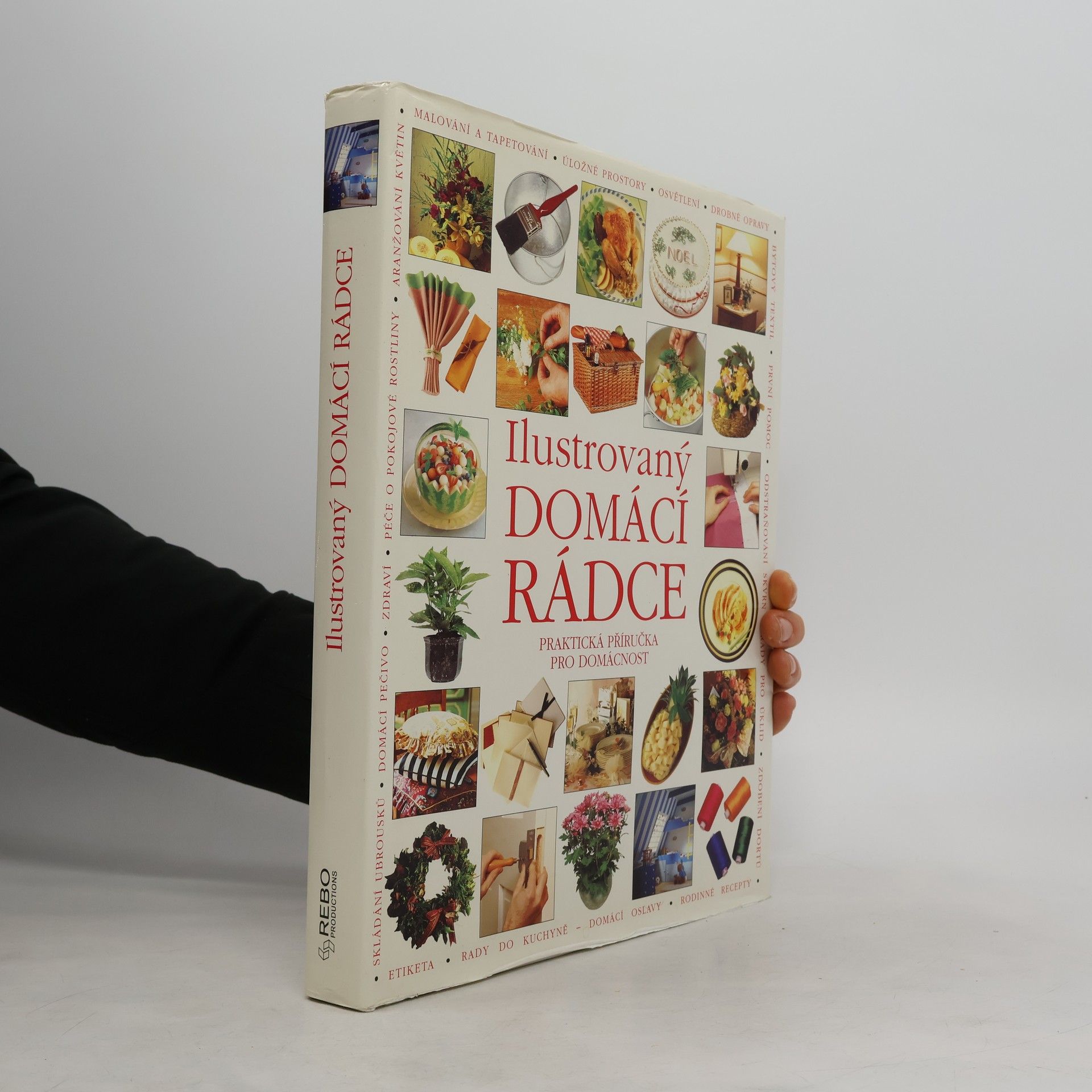 Dana Vaněčková Ilustrovaný domácí rádce
