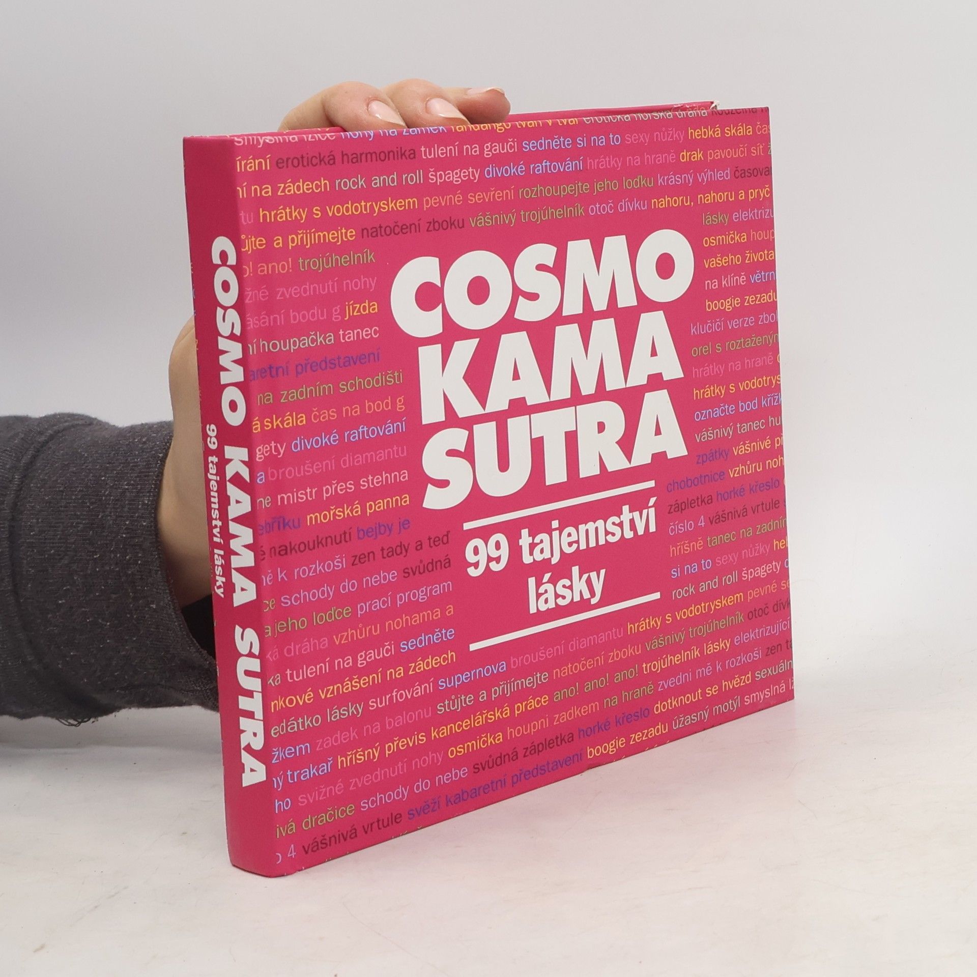 Autorenkollektiv Cosmo kamasutra