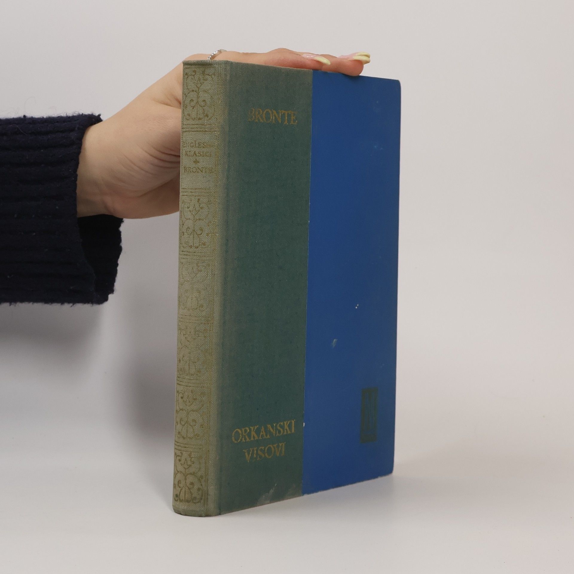 Emily Brontë Orkanski visovi