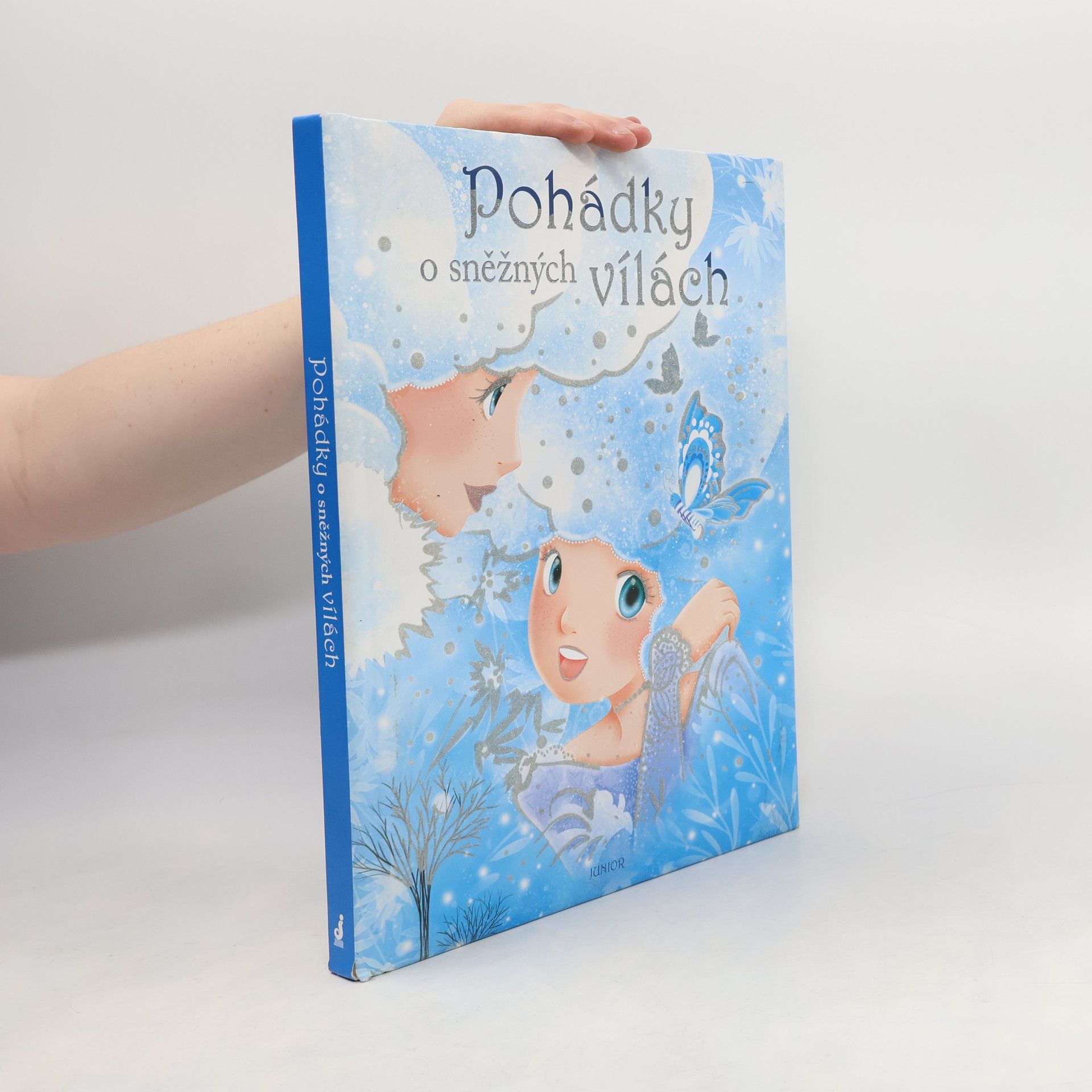 Autorenkollektiv Pohádky o sněžných vílách