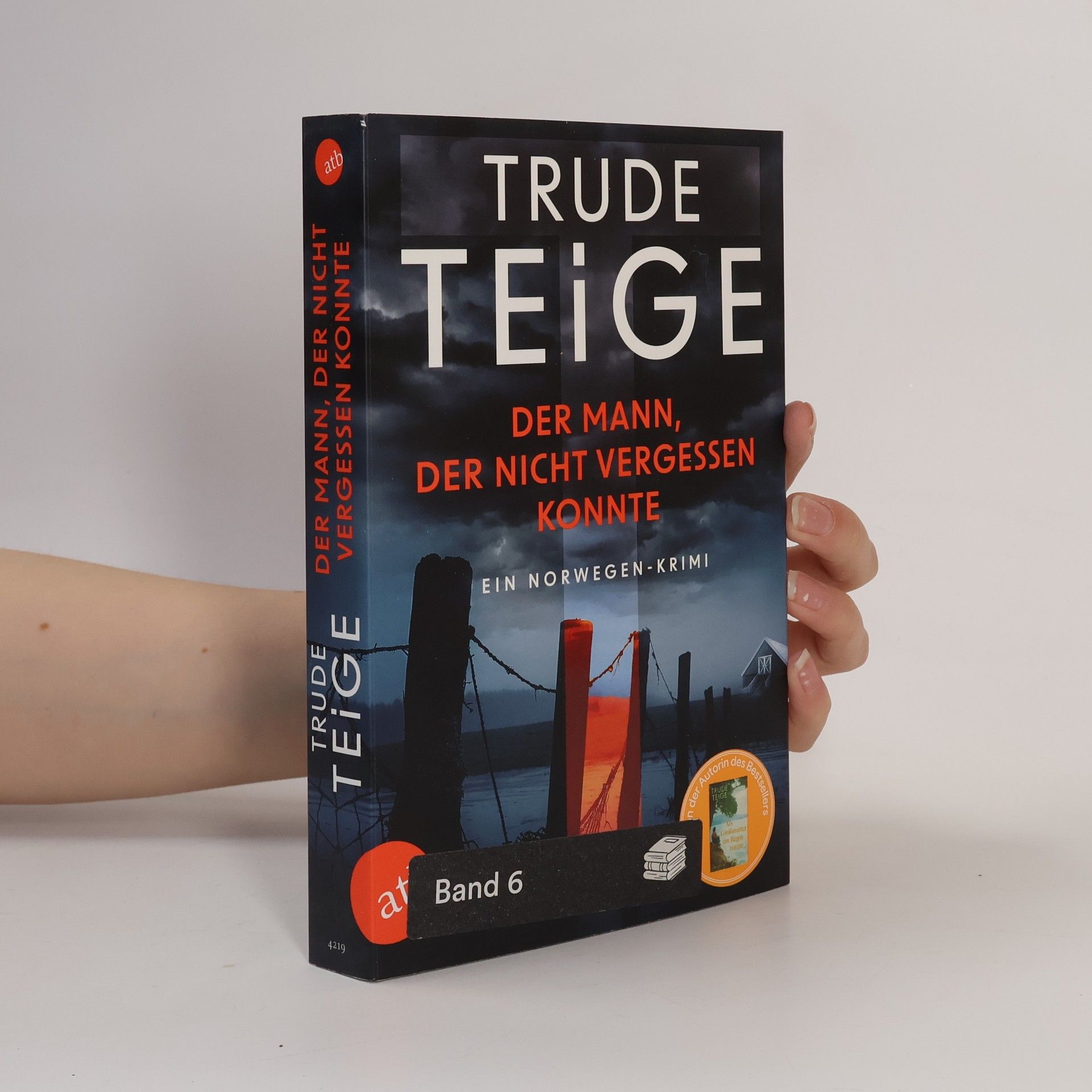 Trude Teige Der Mann, der nicht vergessen konnte