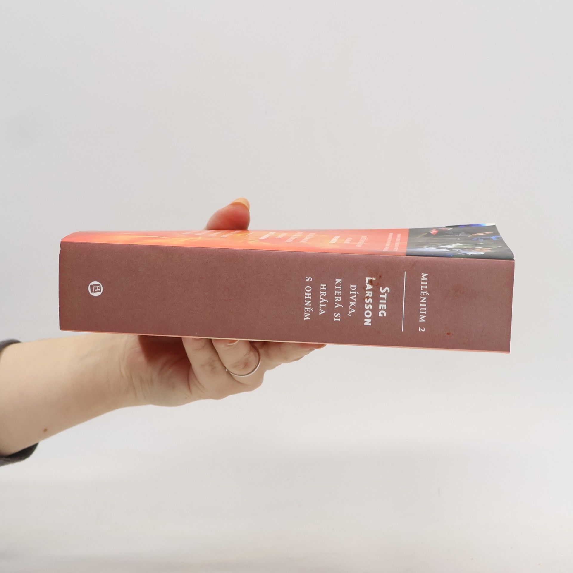 Stieg Larsson Dívka, která si hrála s ohněm