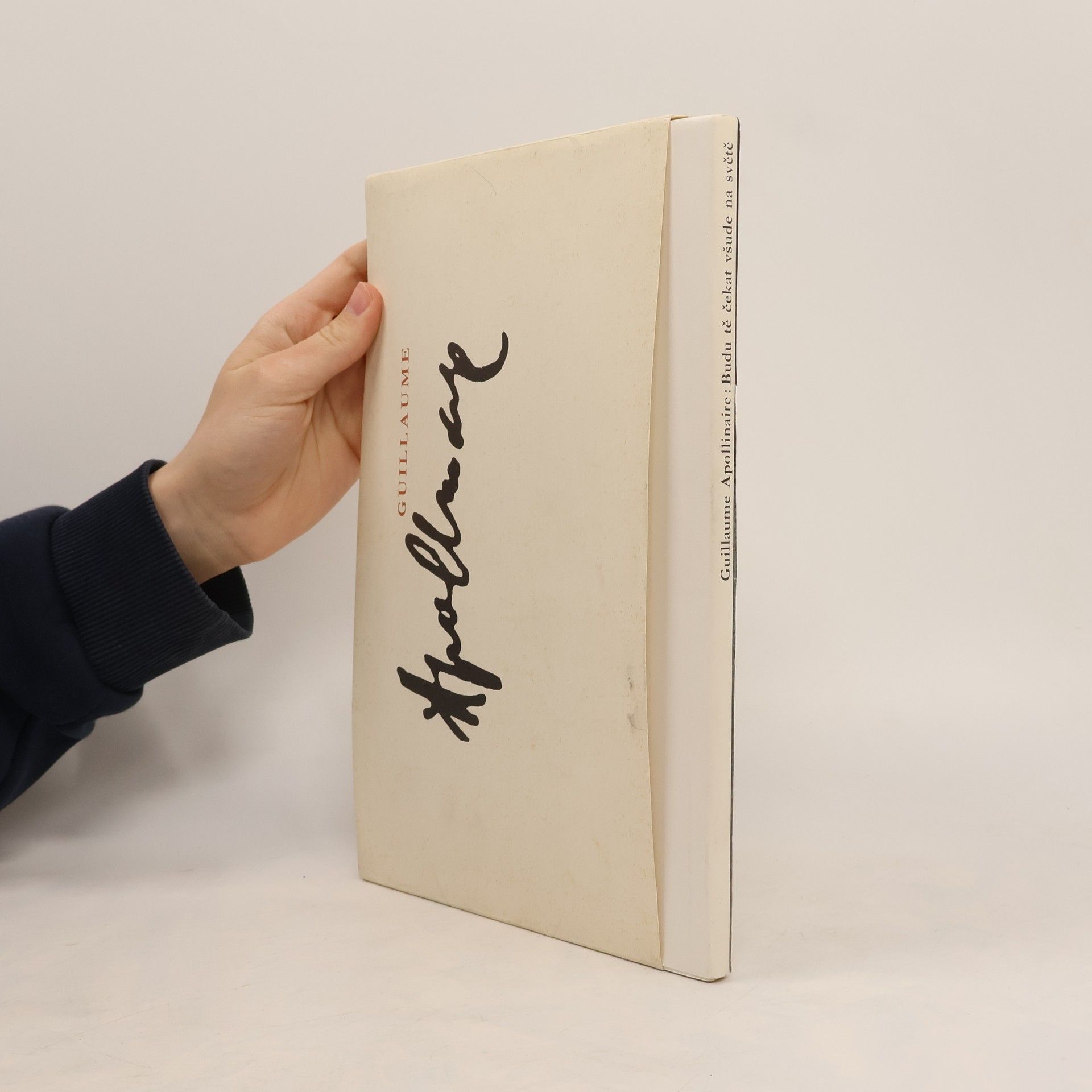 Guillaume Apollinaire Budu tě čekat všude na světě