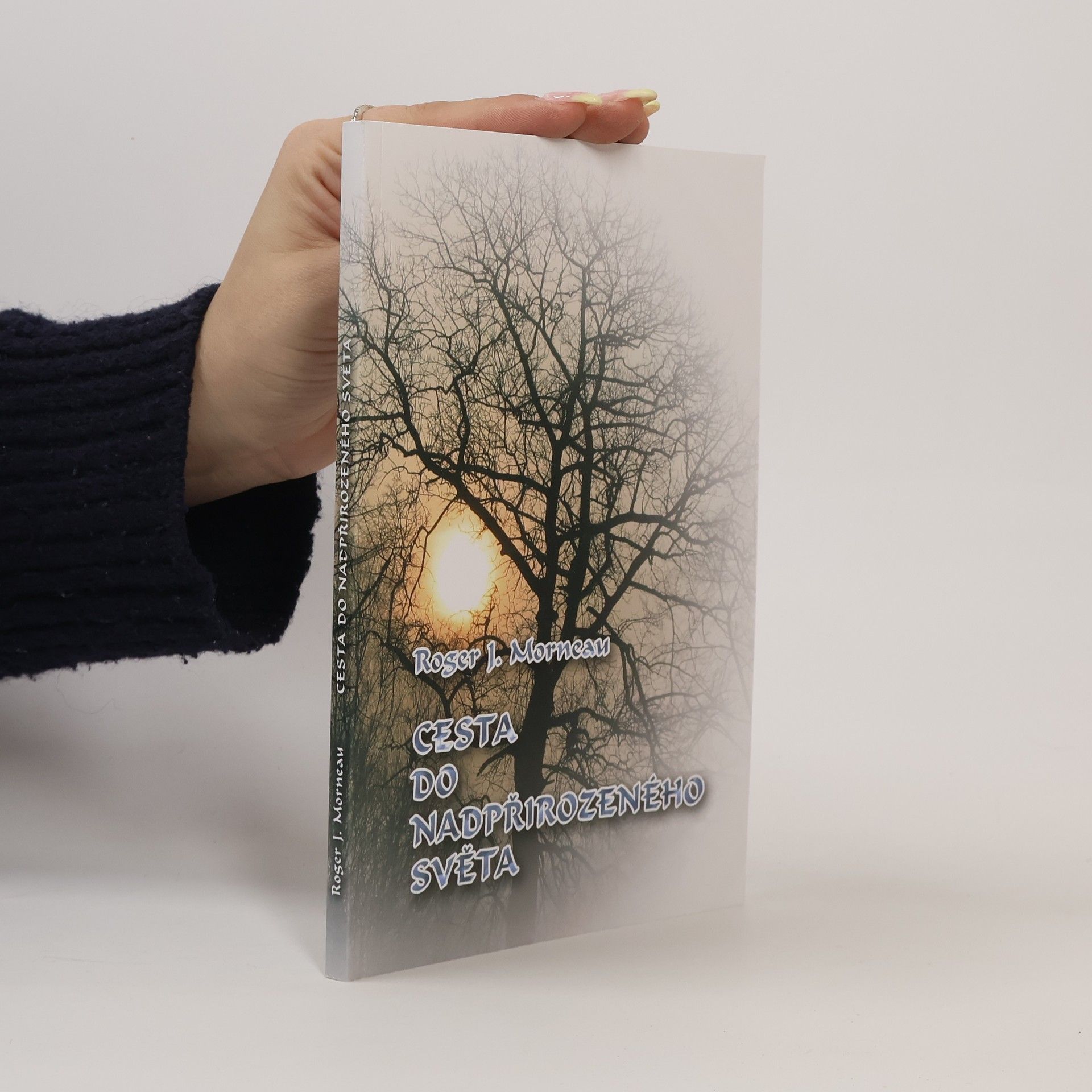 Roger J. Morneau Cesta do nadpřirozeného světa