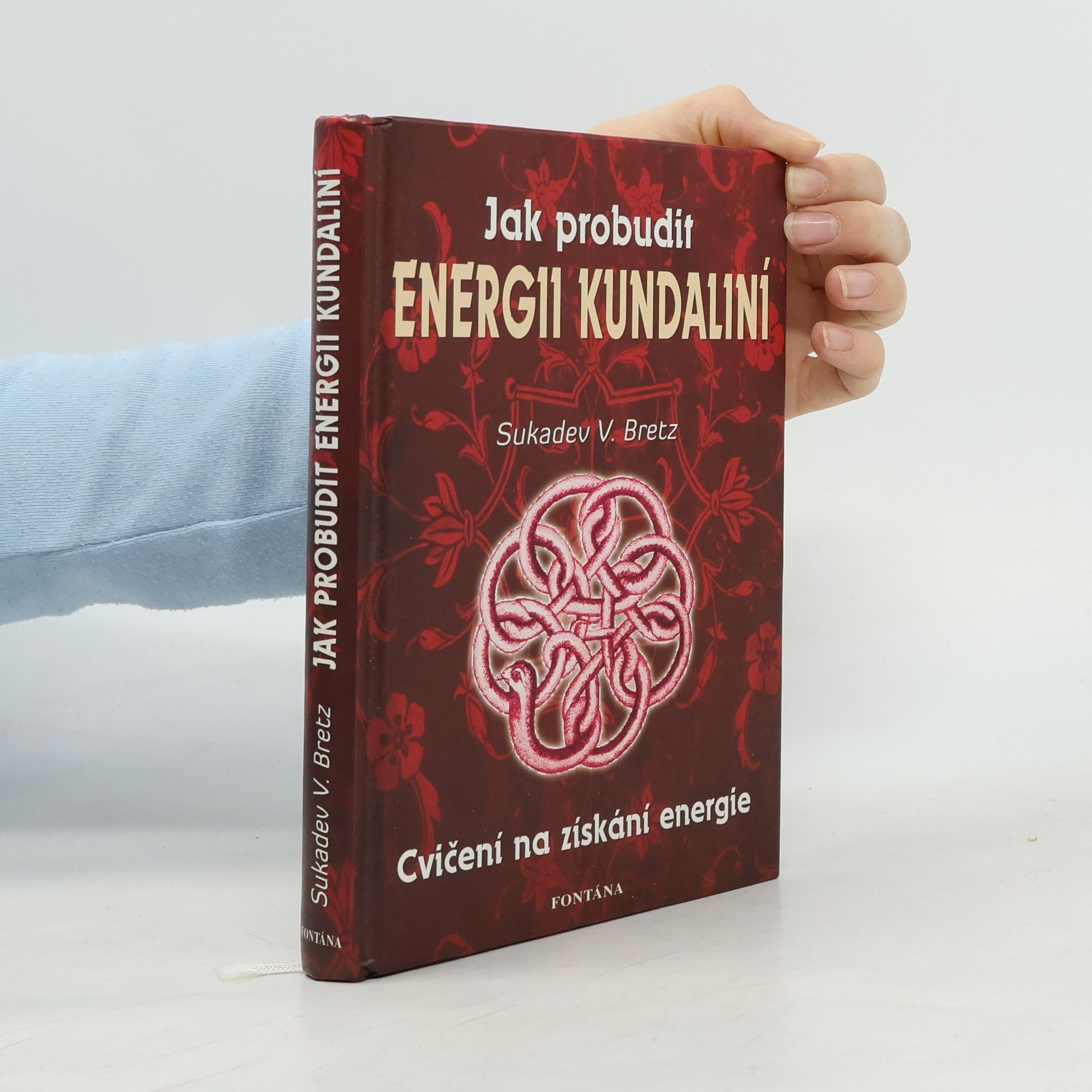 Sukadev Bretz V Jak probudit energii kundaliní