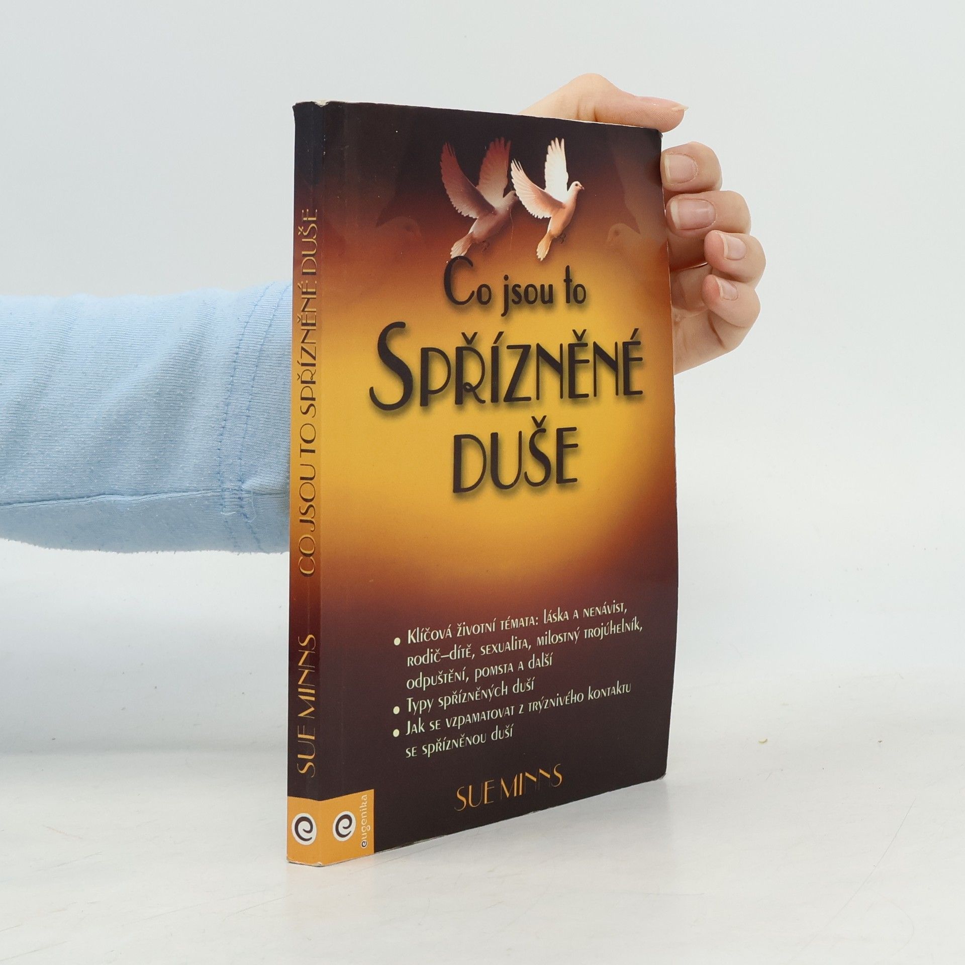 Sue Minns Co jsou to spřízněné duše: jak pochopit dar výjimečných setkání