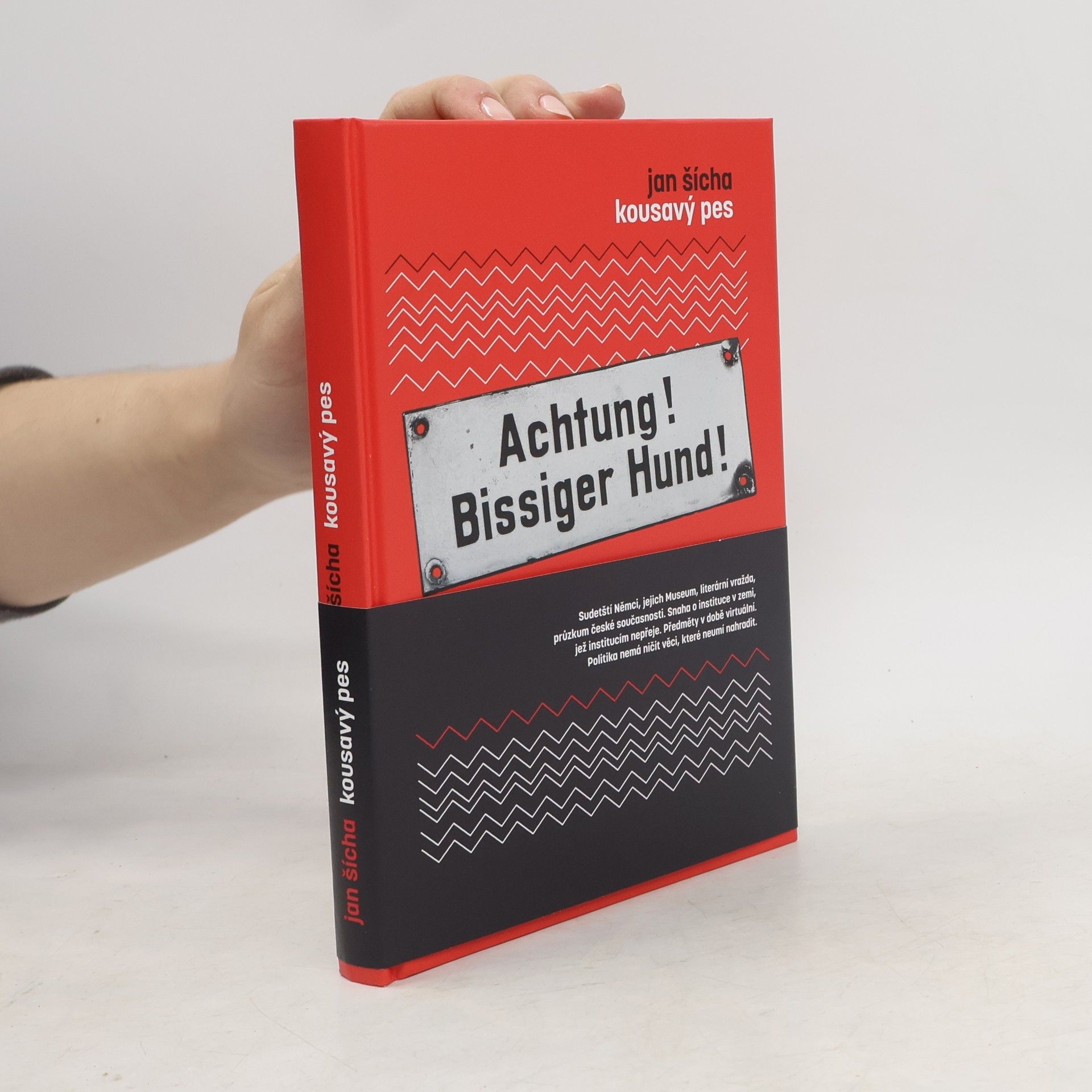 Jan Šícha Kousavý pes