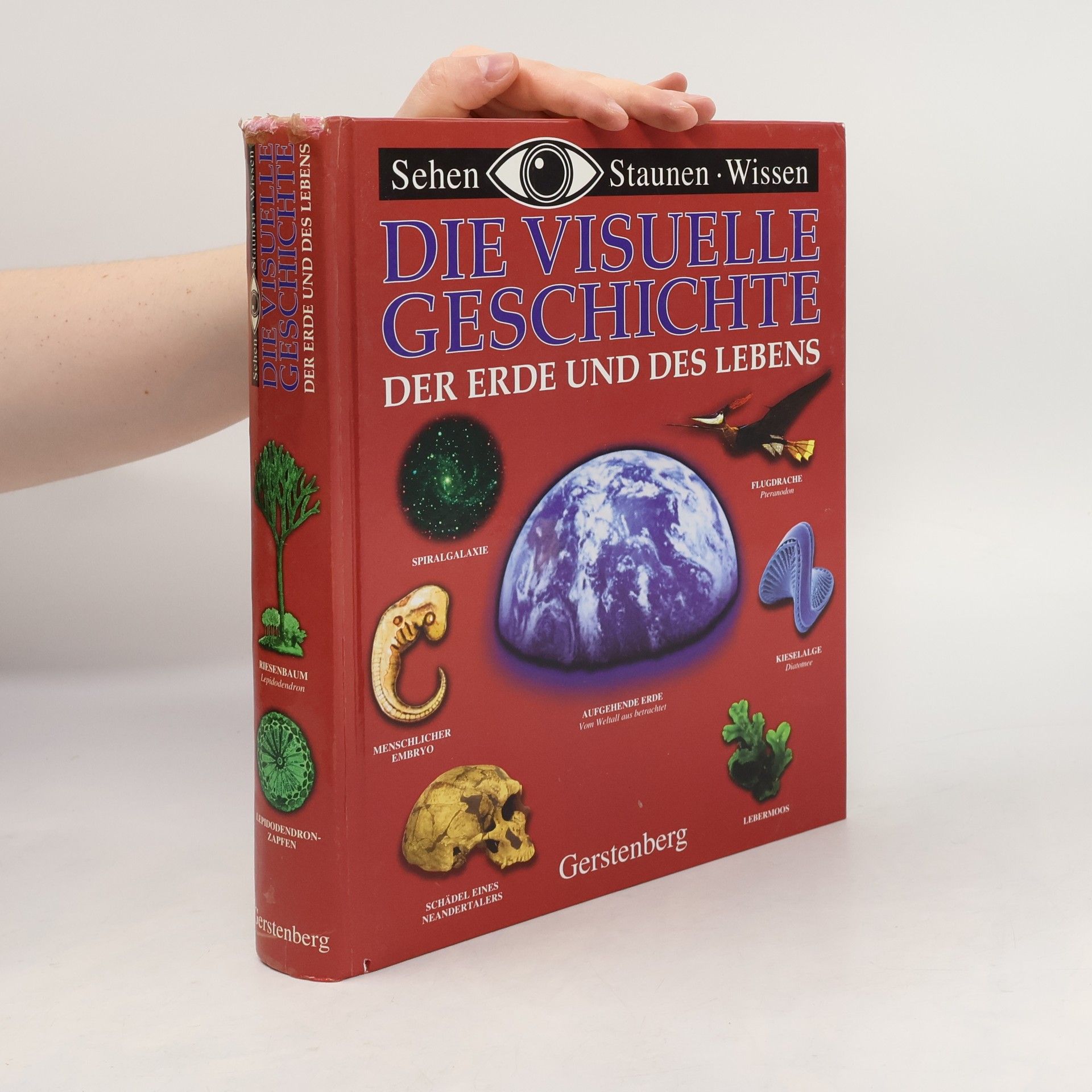 Edmund Jacoby Die visuelle Geschichte der Erde und des Lebens