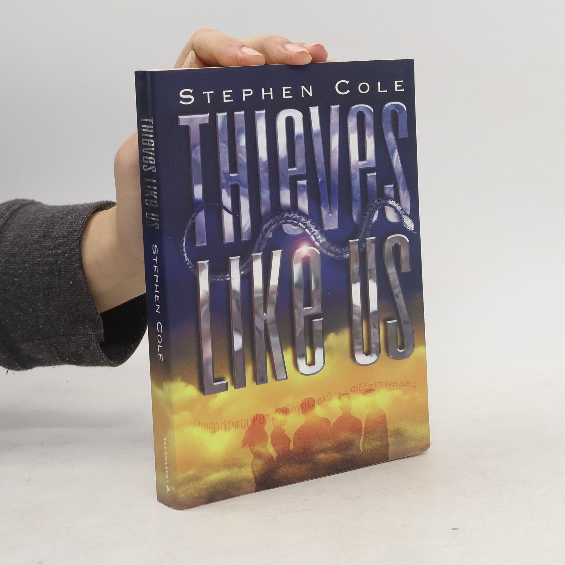 Stephen Cole Thieves Like Us