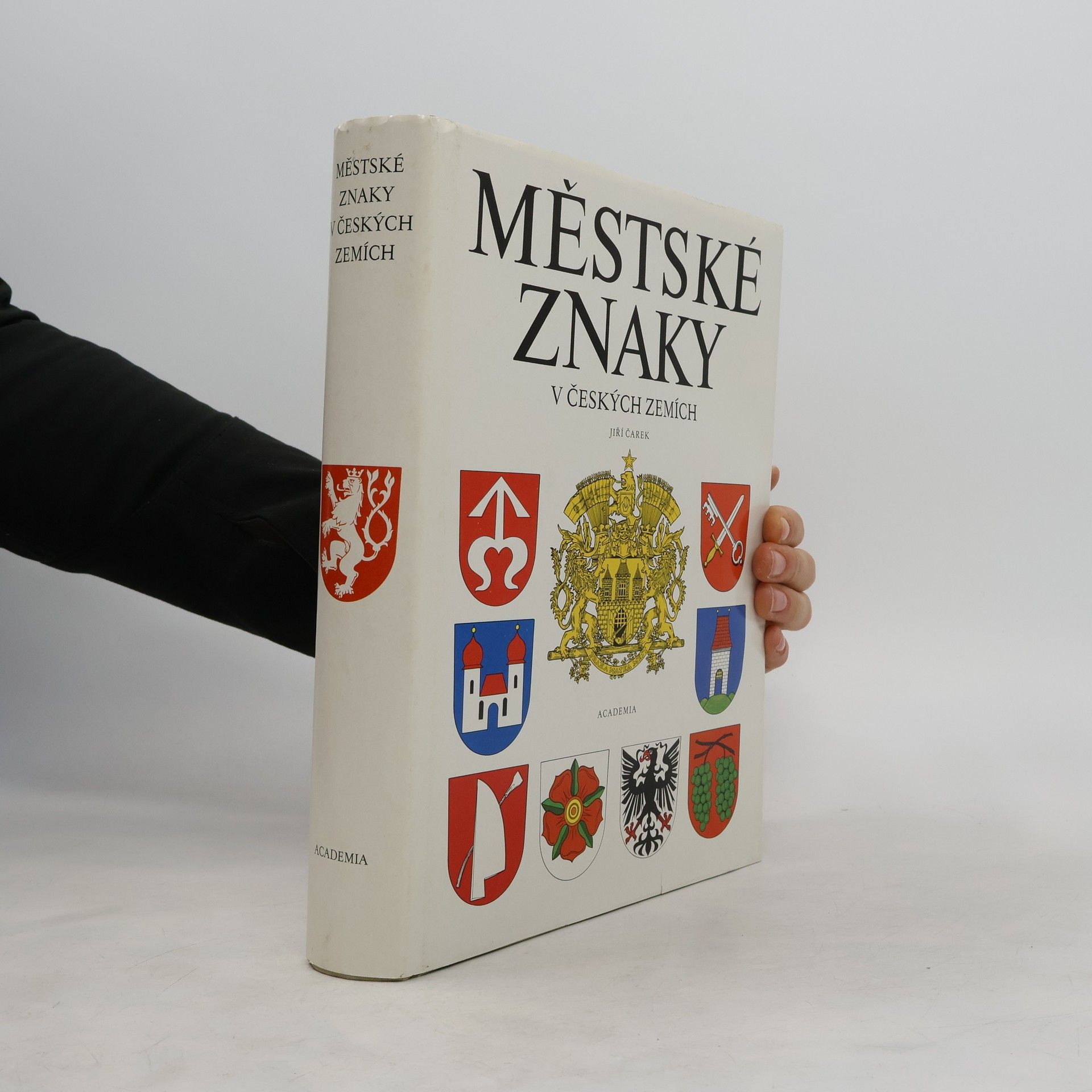 Jiří Čarek Městské znaky v českých zemích