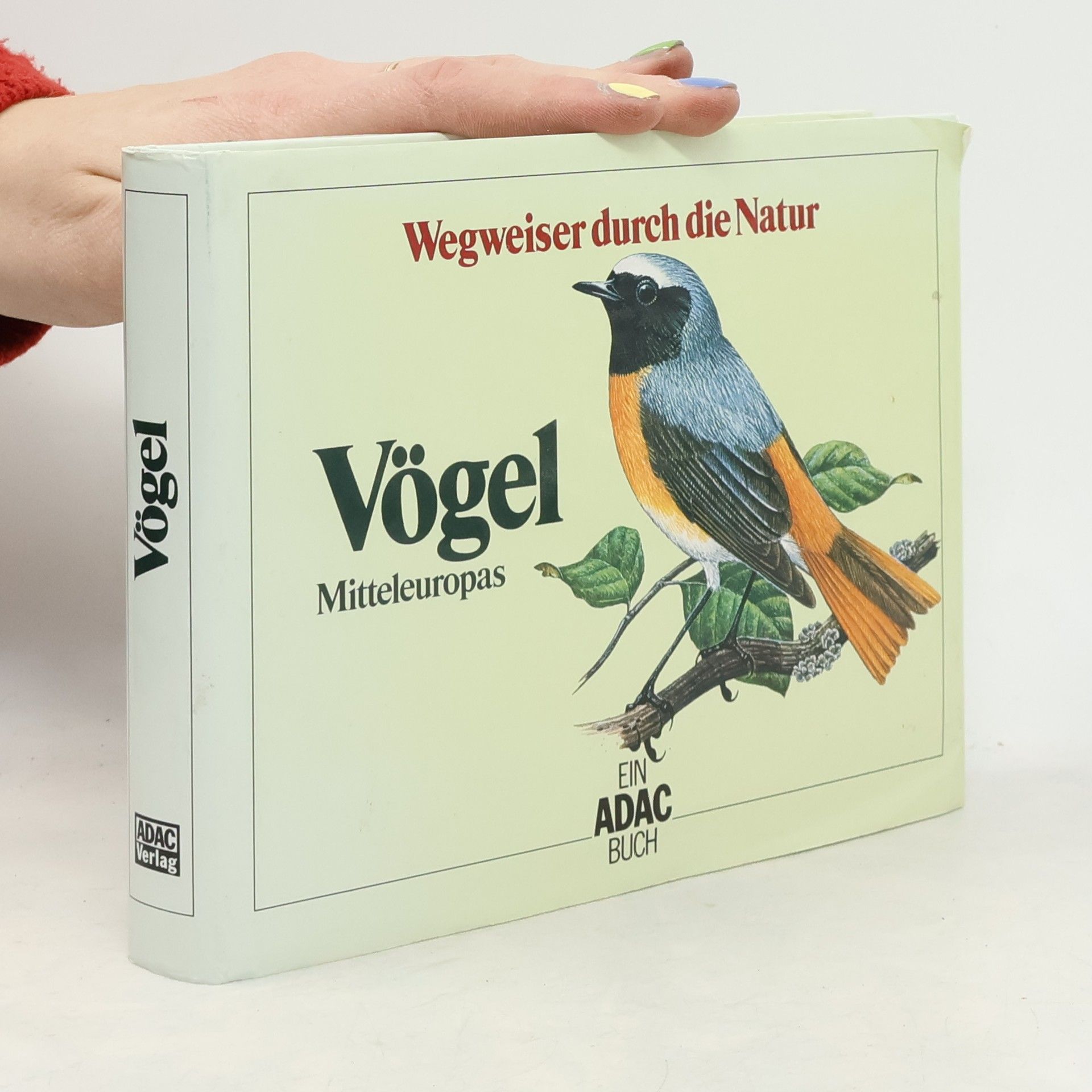 Claus König Vögel Mitteleuropas