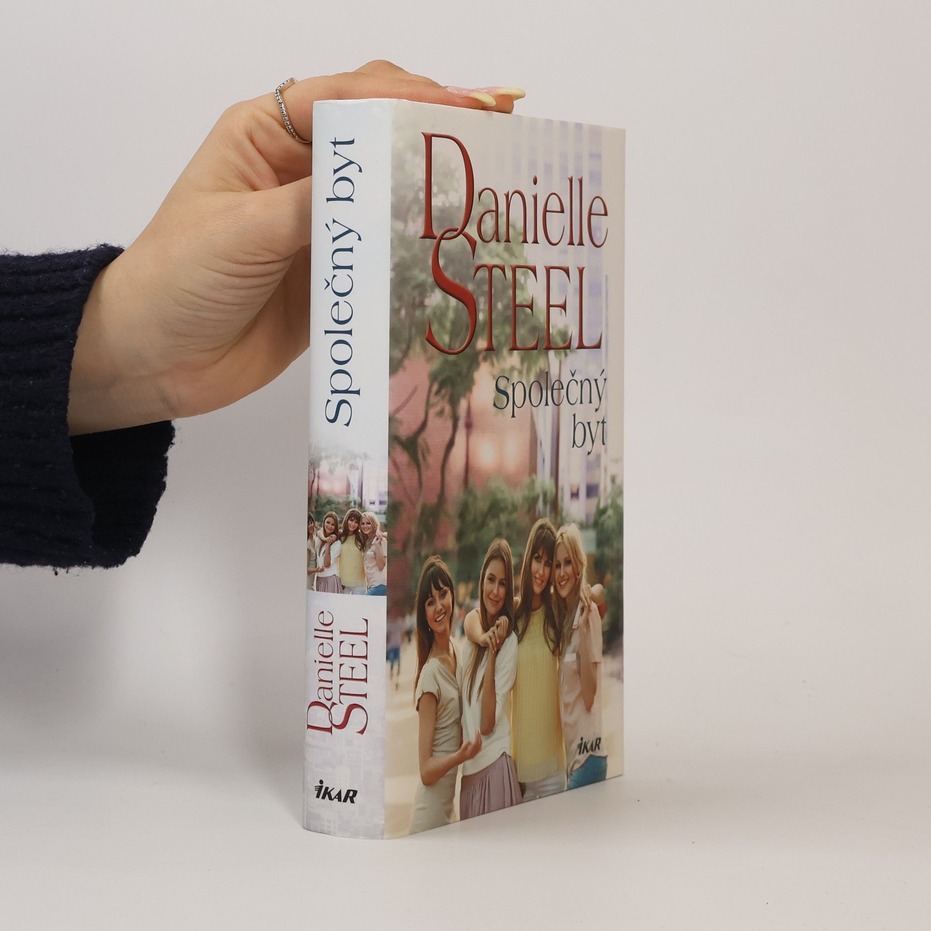 Danielle Steel Společný byt