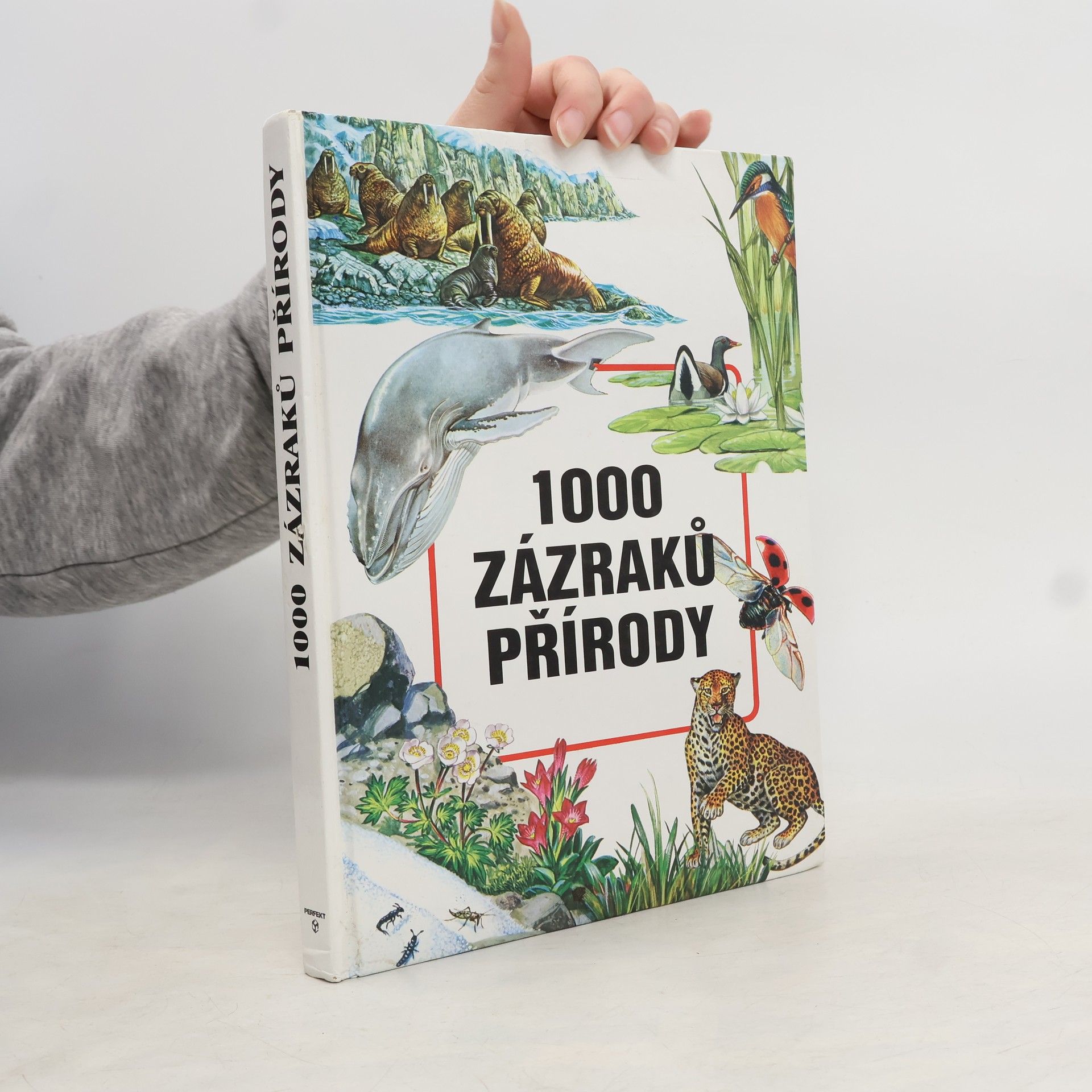 1000 zázraků přírody