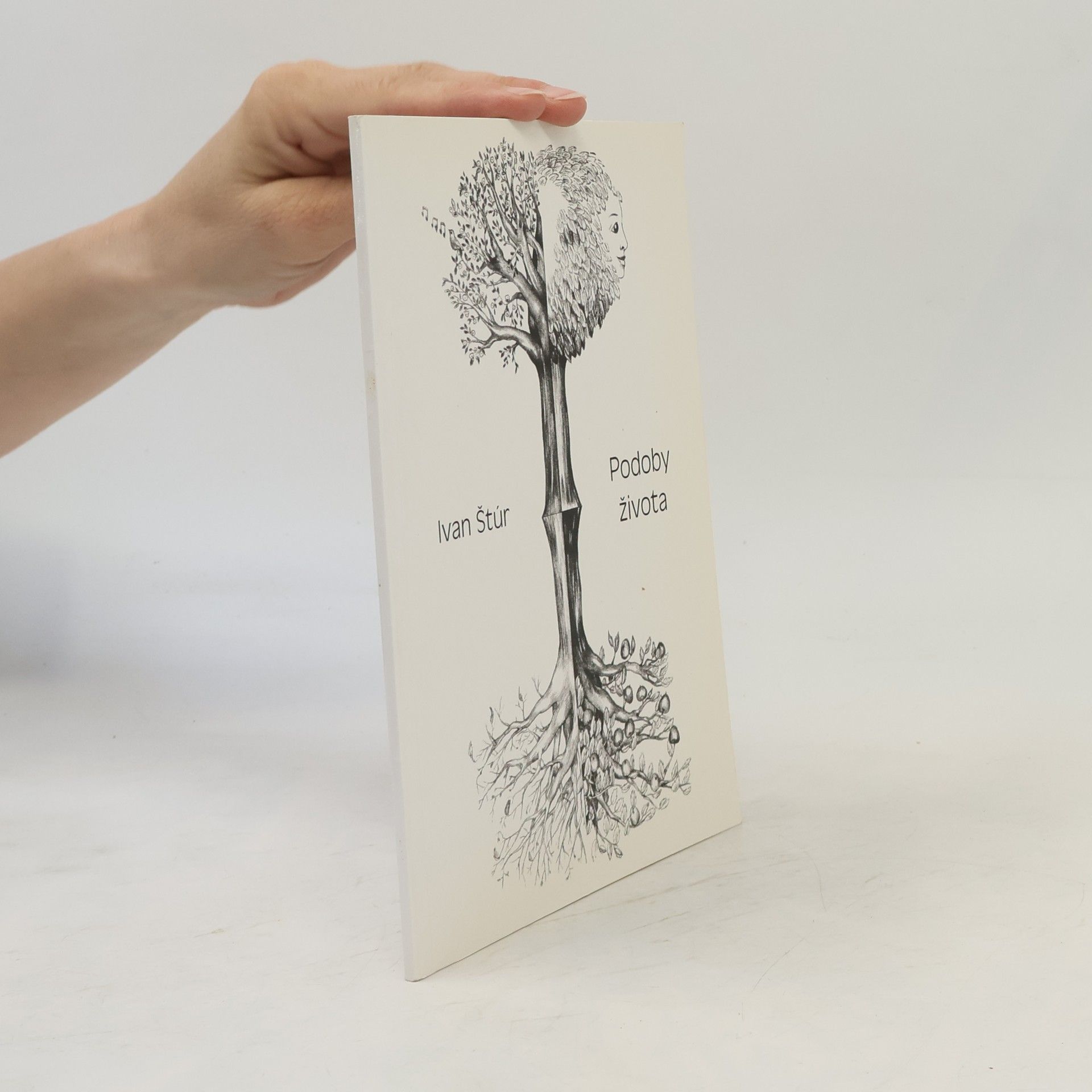 Ivan Štúr Podoby života