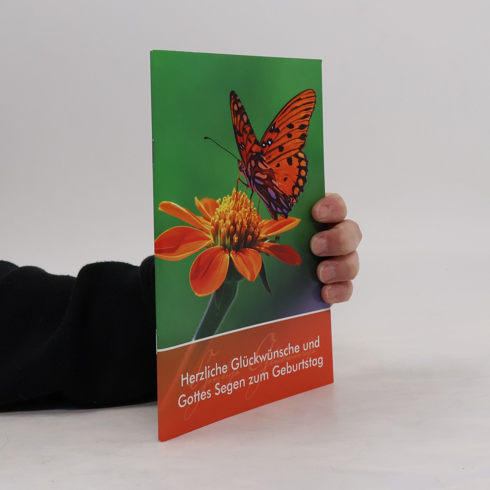 Kolektiv autorů Herzliche Glückwünsche und Gottes Segen zum Geburtstag