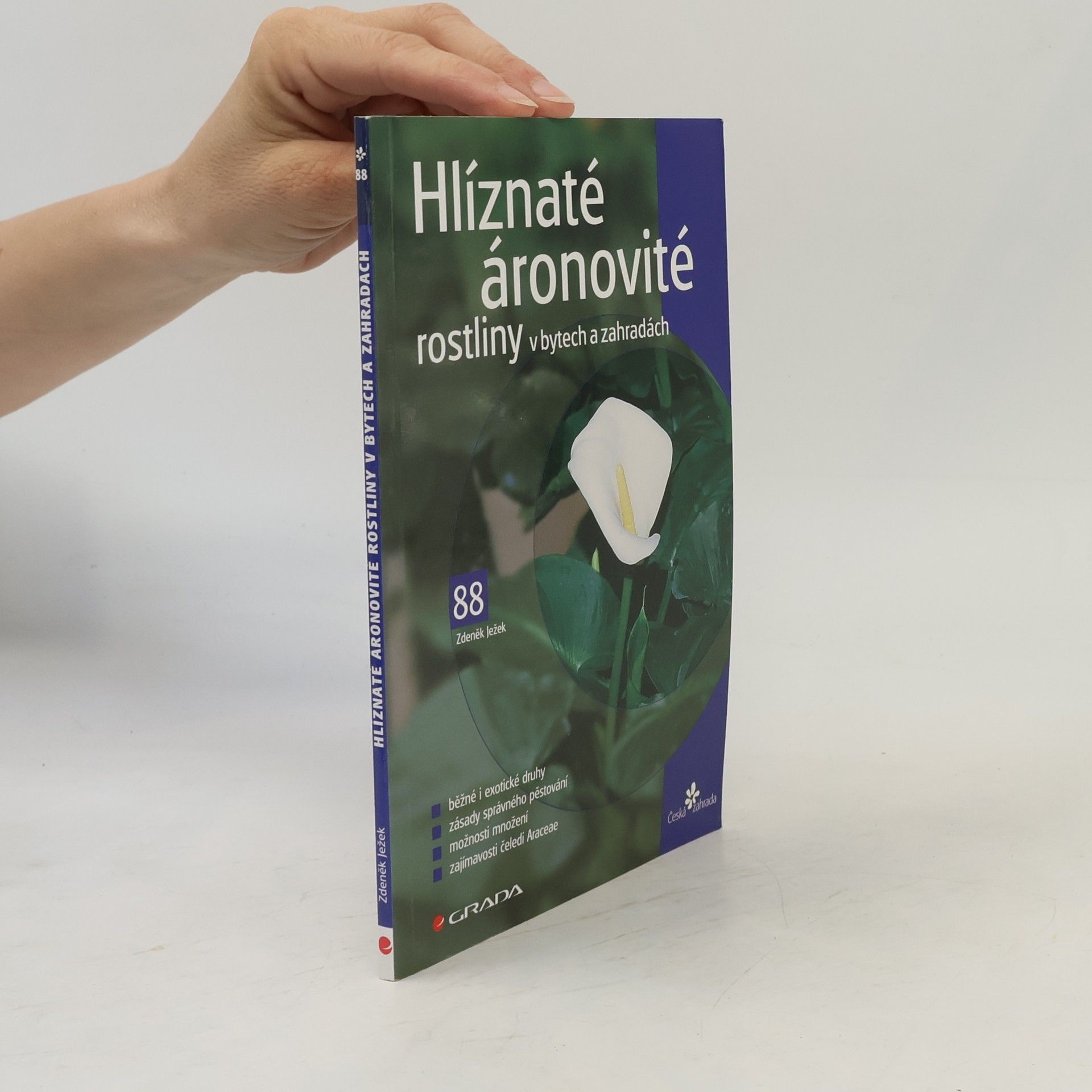 Hlíznaté áronovité rostliny v bytech a zahradách