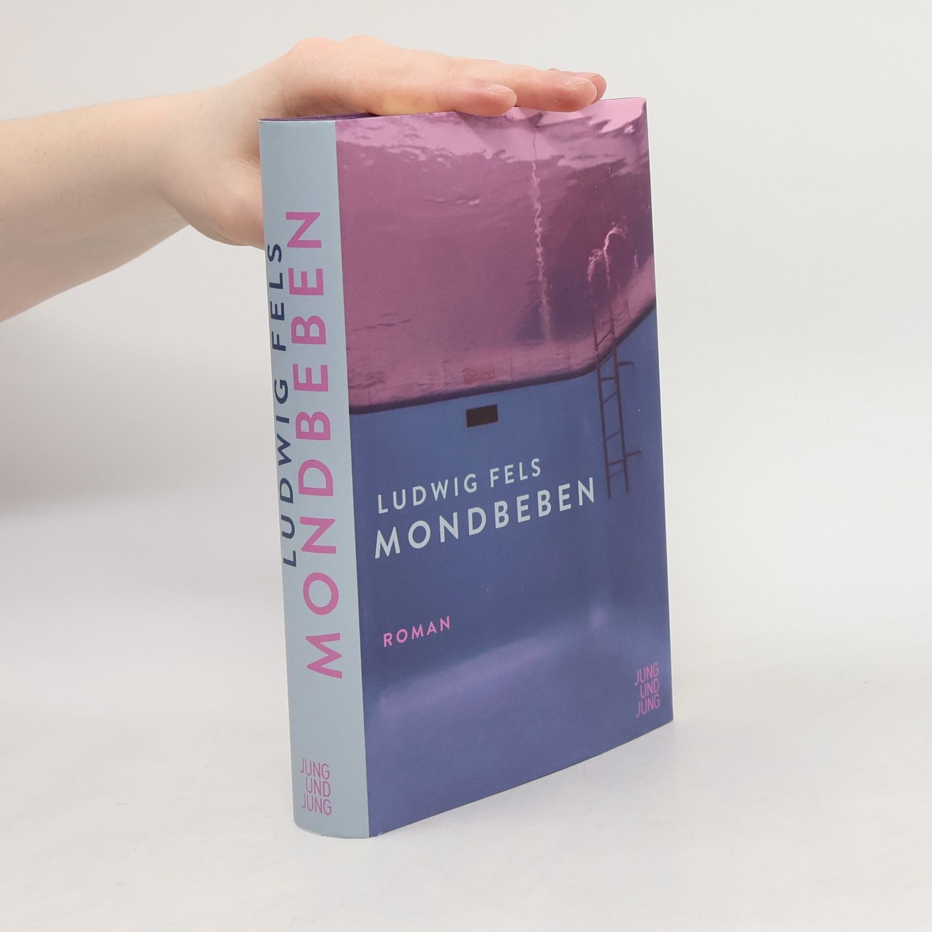 Ludwig Fels Mondbeben