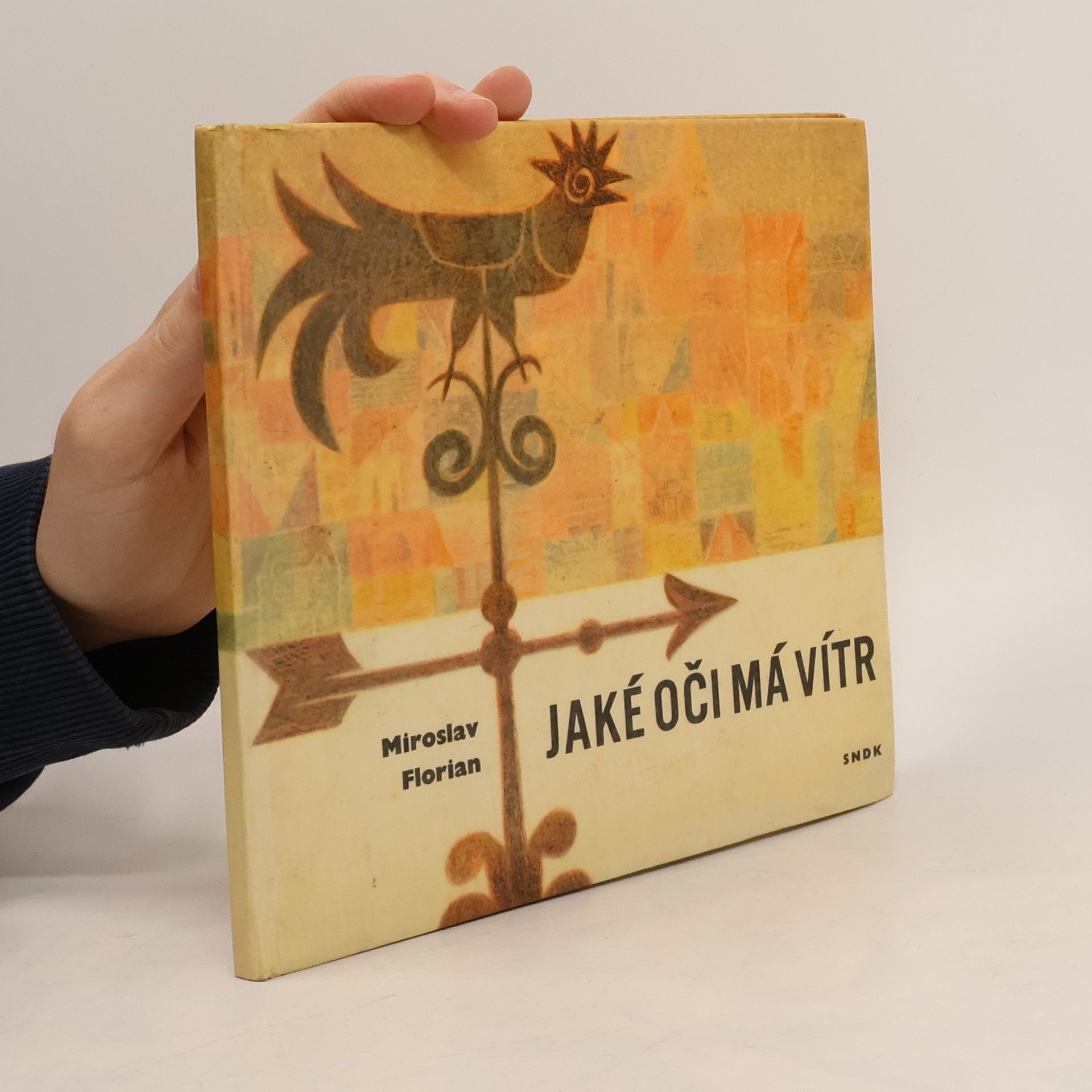 Miroslav Florian Jaké oči má vítr