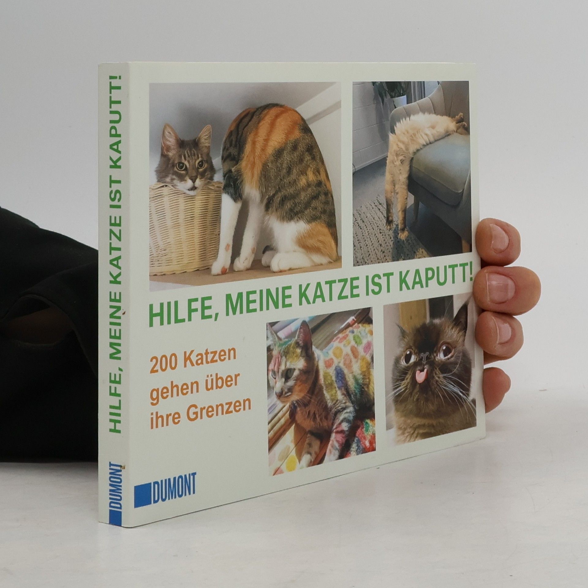 Kolektív autorov Hilfe, meine Katze ist kaputt