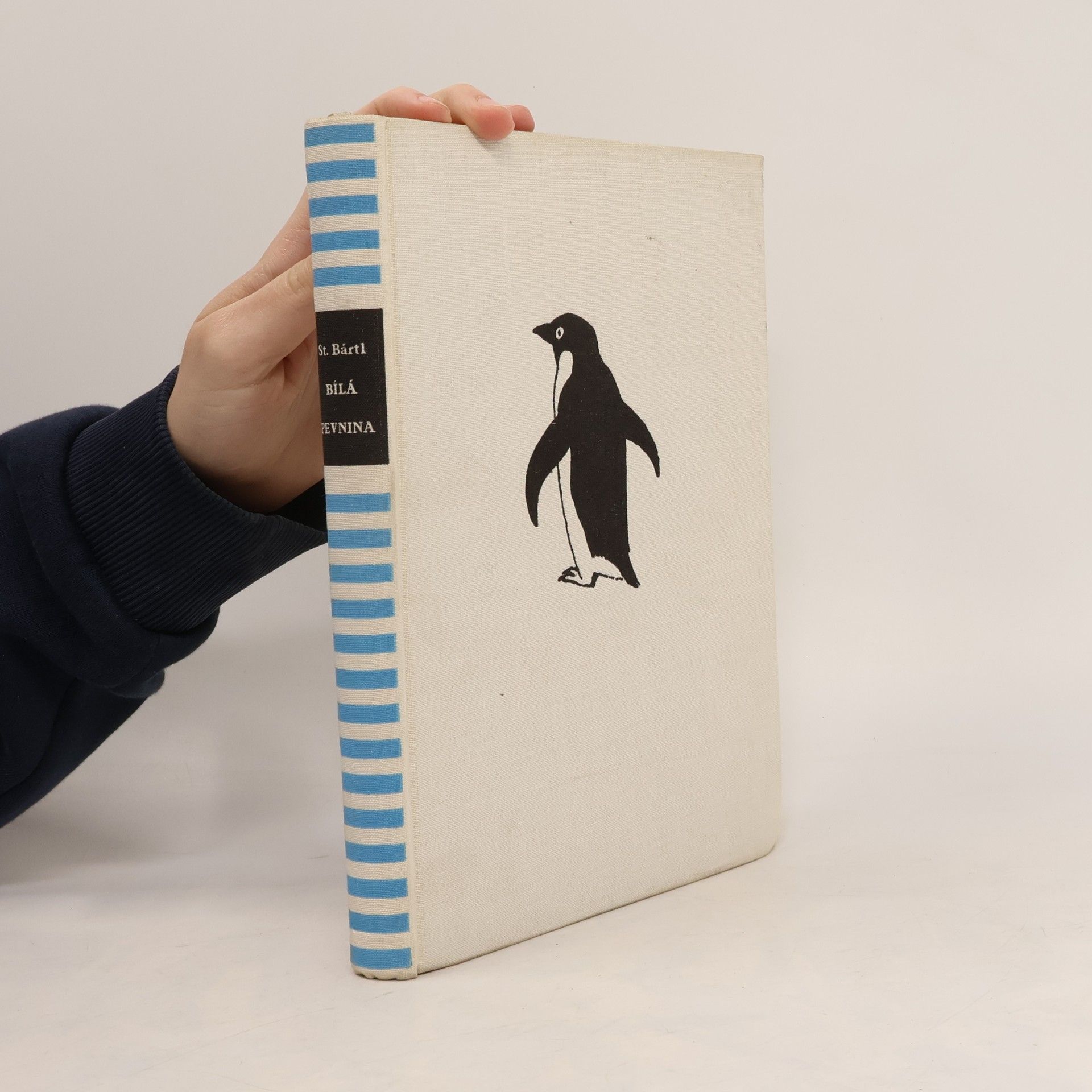 Bílá pevnina. Tajemství jižní točny