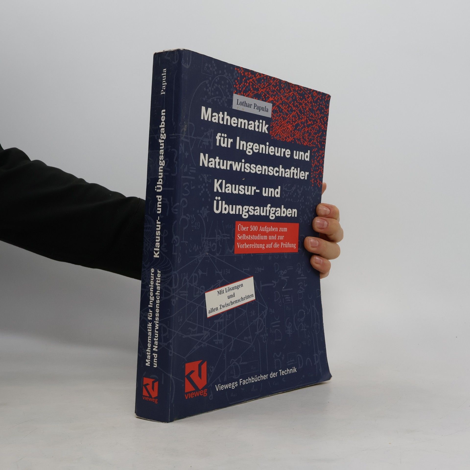 Lothar Papula Mathematik für Ingenieure und Naturwissenschaftler - Klausur- und Übungsaufgaben
