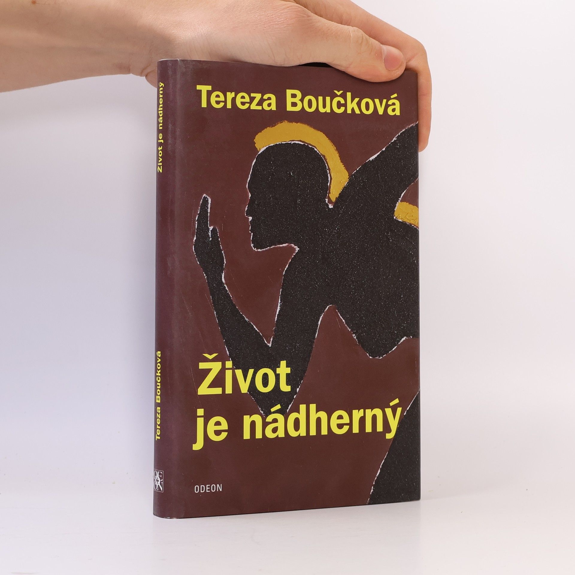 Tereza Boučková Život je nádherný