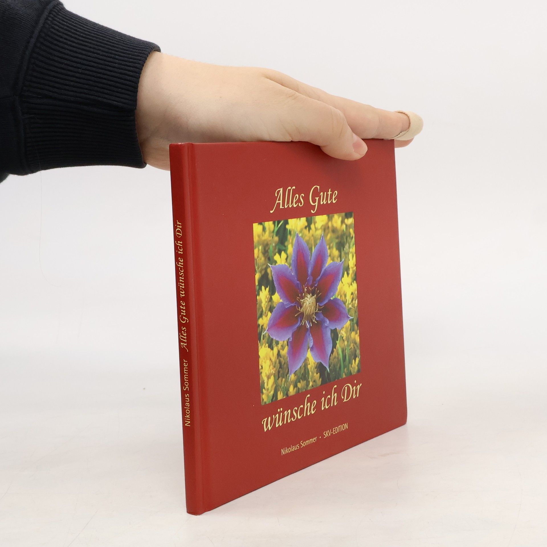 Nikolaus Sommer Alles Gute wünsche ich dir
