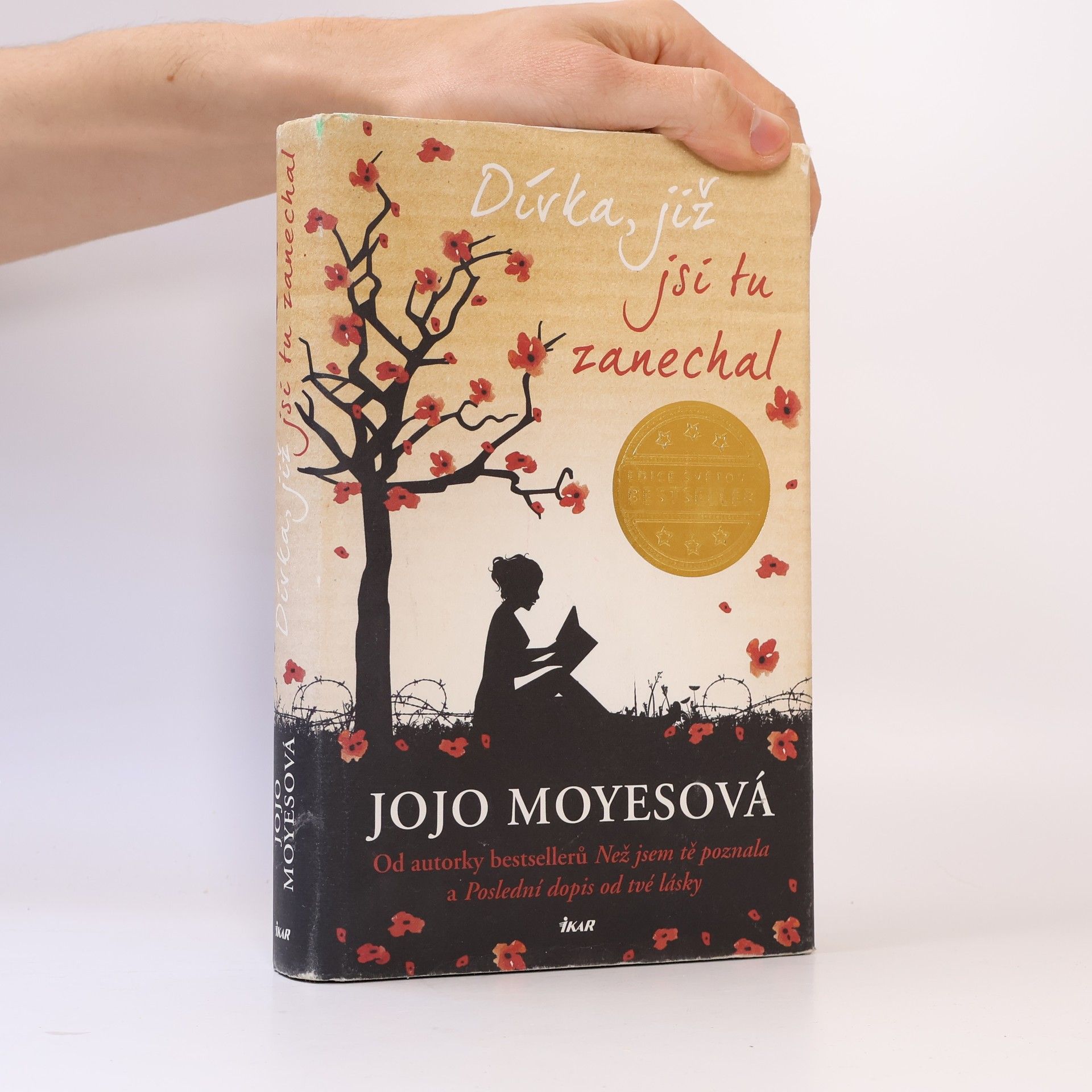 Lucie Mikolajková Dívka, již jsi tu zanechal