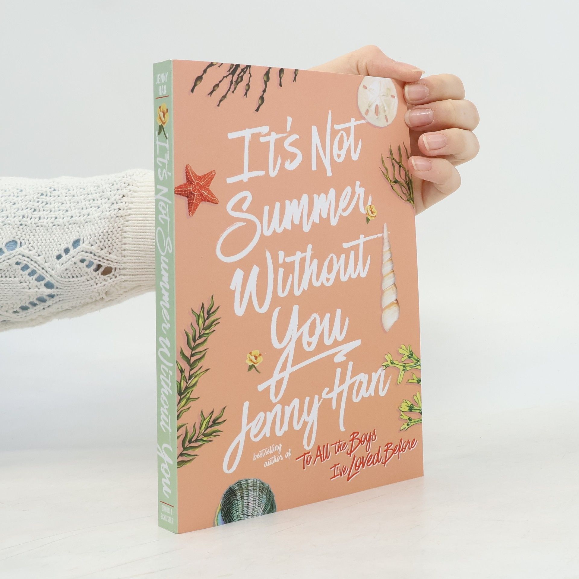 Jenny Han It's Not Summer Without You