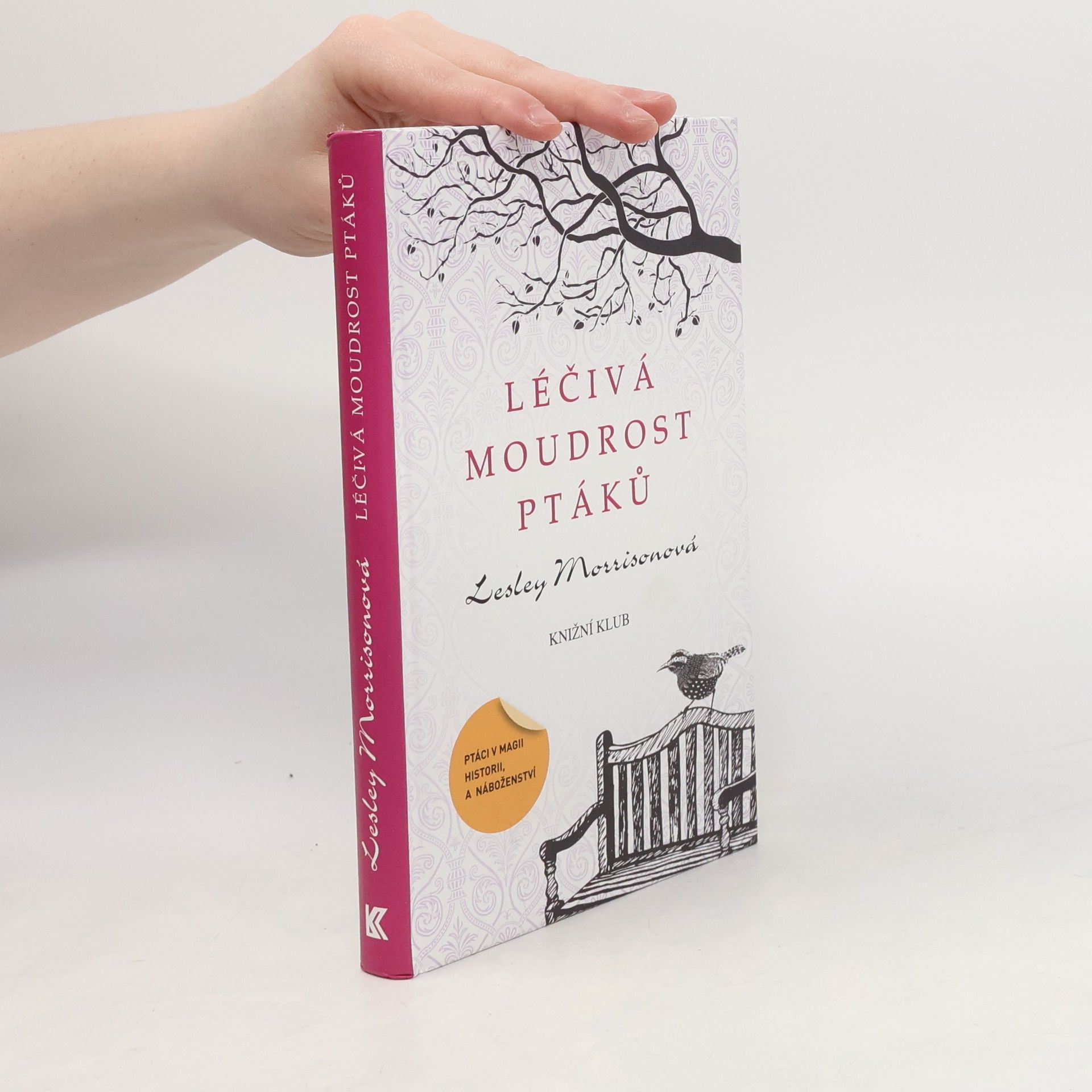 Lesley Morrison Léčivá moudrost ptáků : ptáci v magii, historii a náboženství