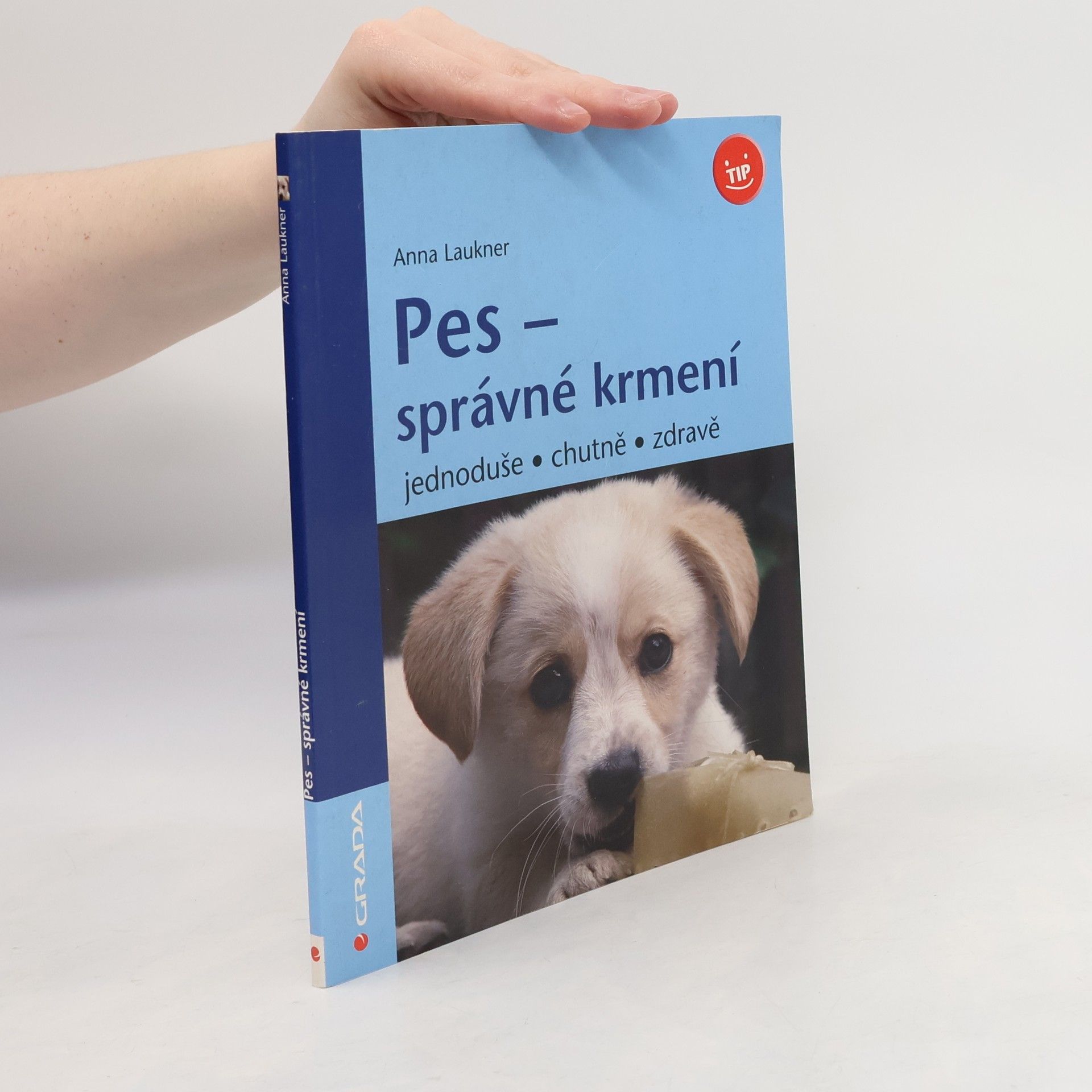 Pes - správné krmení : jednoduše, chutně, zdravě