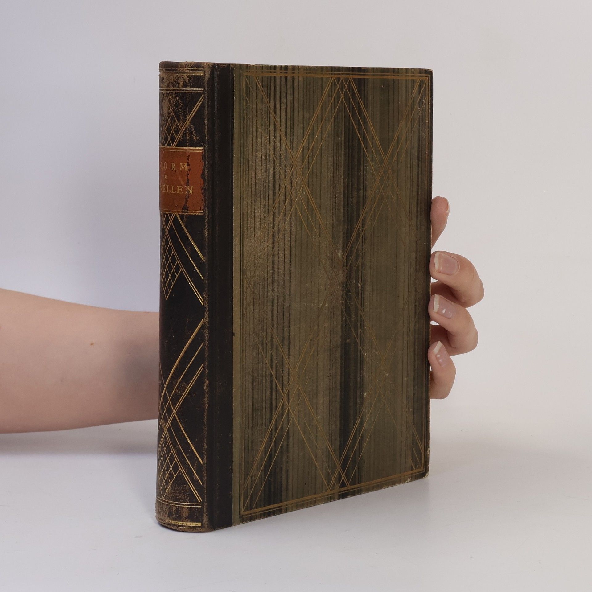 Theodor Storm Immensee und adere Novellen