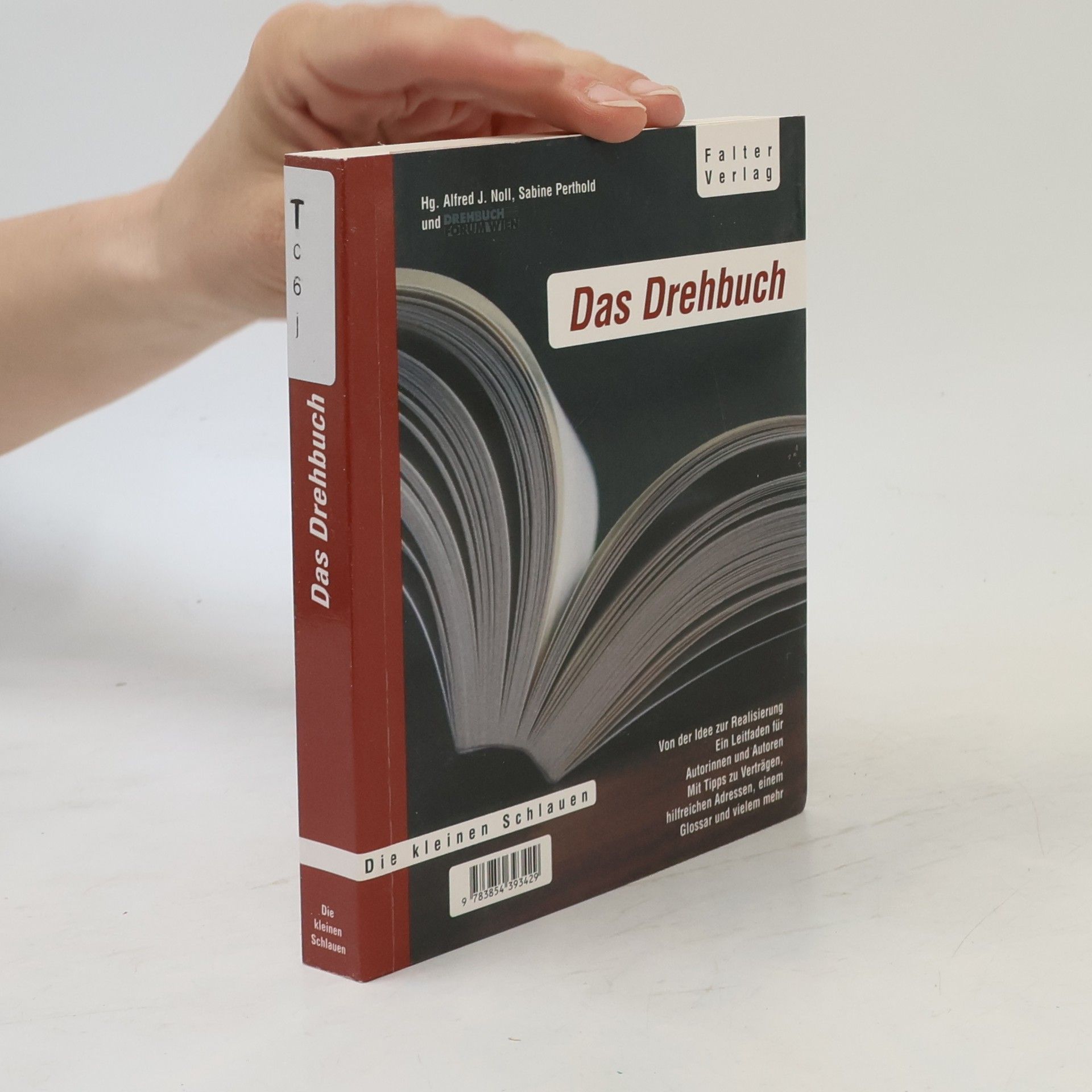 Alfred J. Noll Die kleinen Schlauen: Das Drehbuch